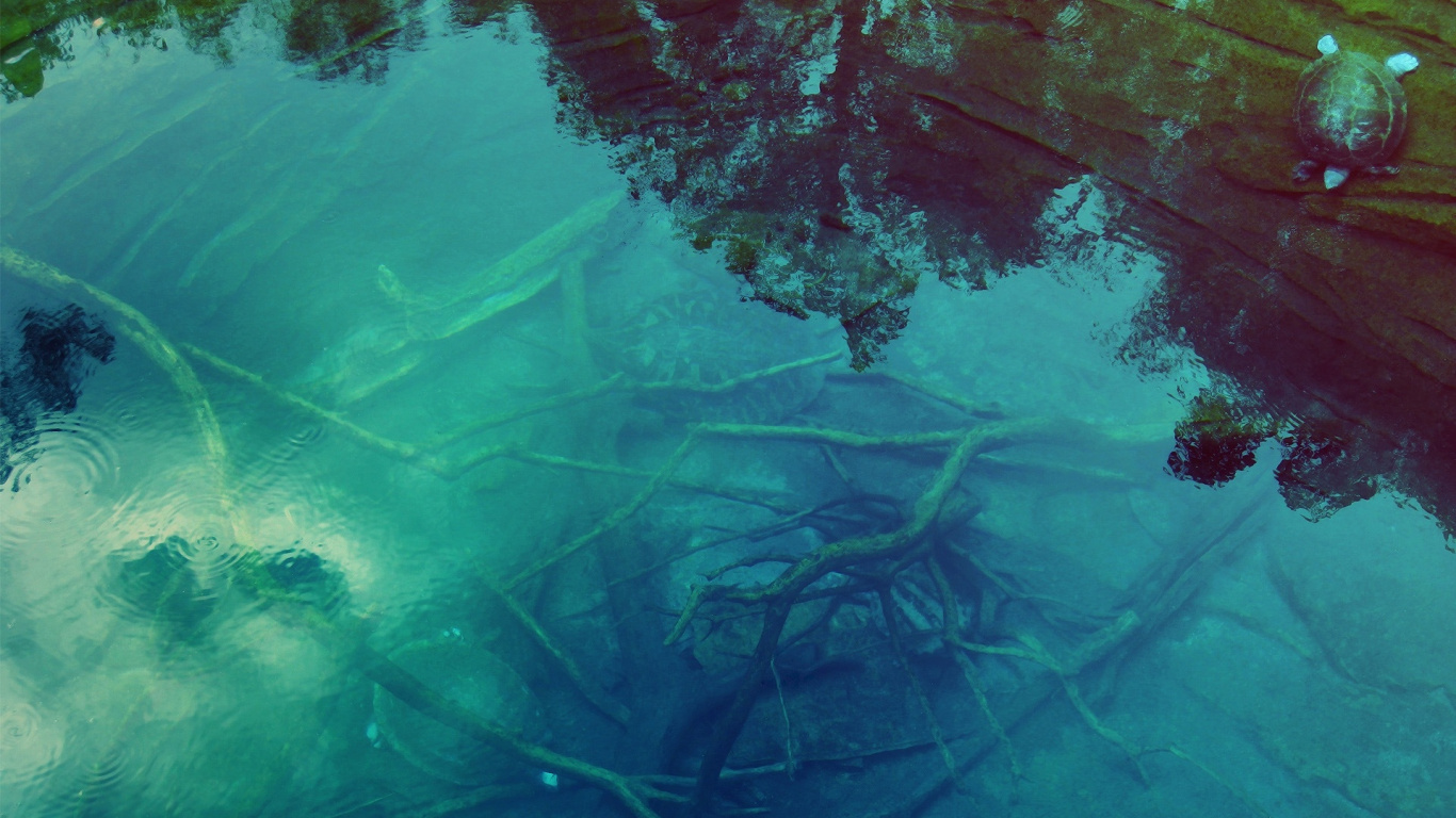 Peinture Abstraite Brune et Verte. Wallpaper in 1366x768 Resolution