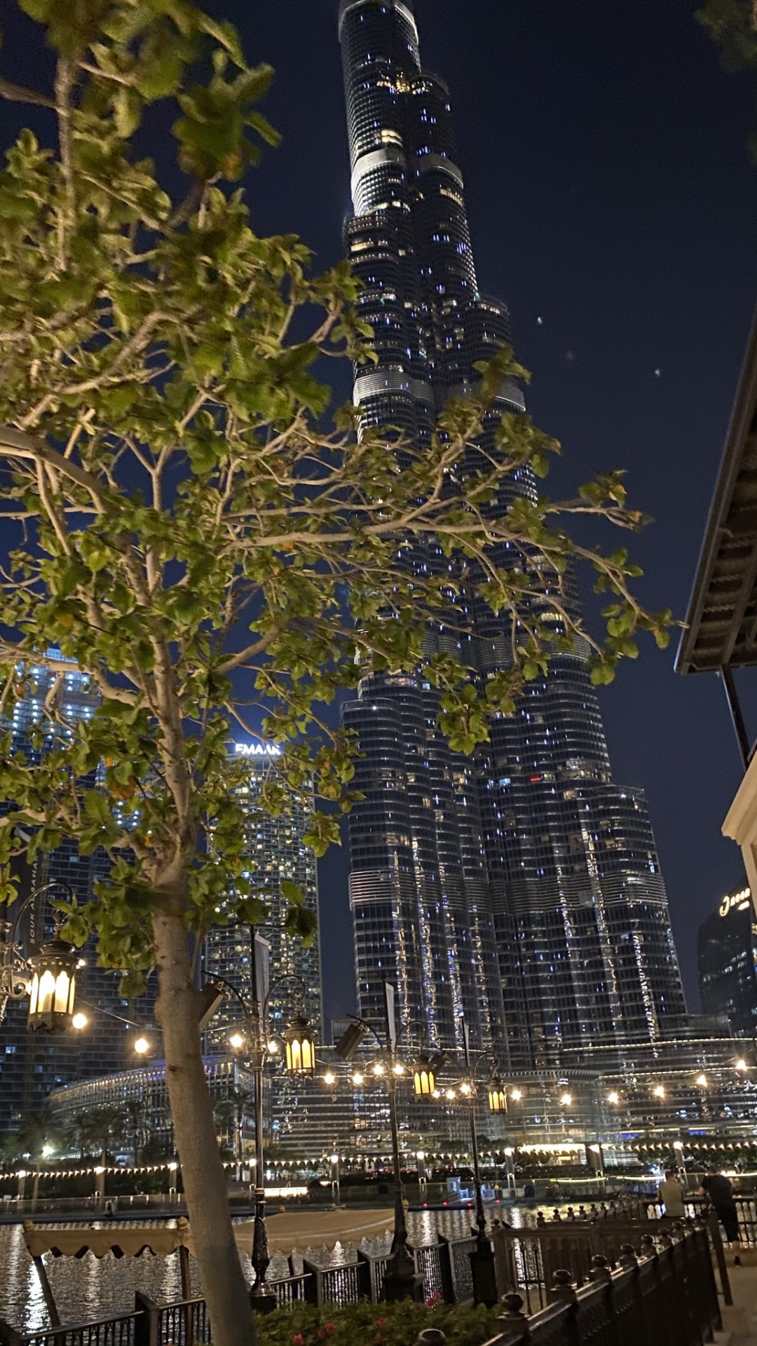 Dubai, Burj Khalifa, Tree, Architecture, Urban Area. Wallpaper in 1080x1920 Resolution