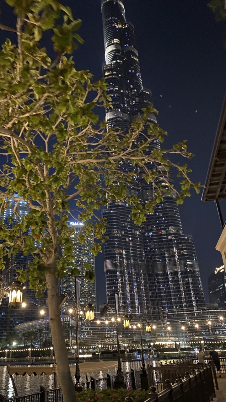 Dubai, Burj Khalifa, Tree, Architecture, Urban Area. Wallpaper in 720x1280 Resolution
