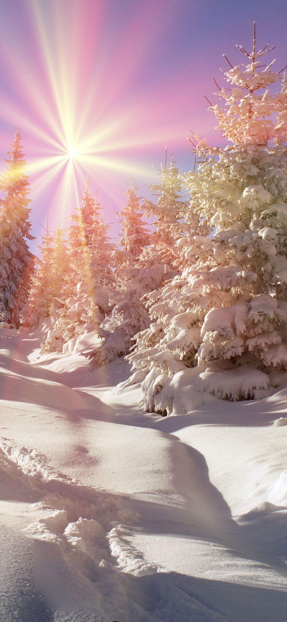 Arbres Couverts de Neige Sous Ciel Bleu Pendant la Journée. Wallpaper in 1125x2436 Resolution