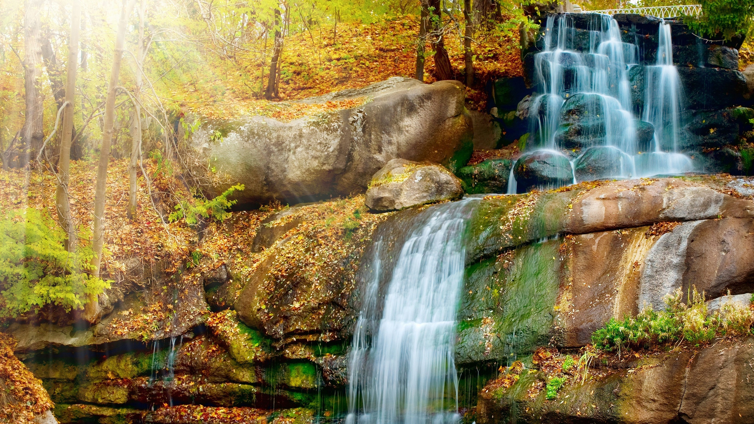 Water Falls on Brown Rock. Wallpaper in 2560x1440 Resolution