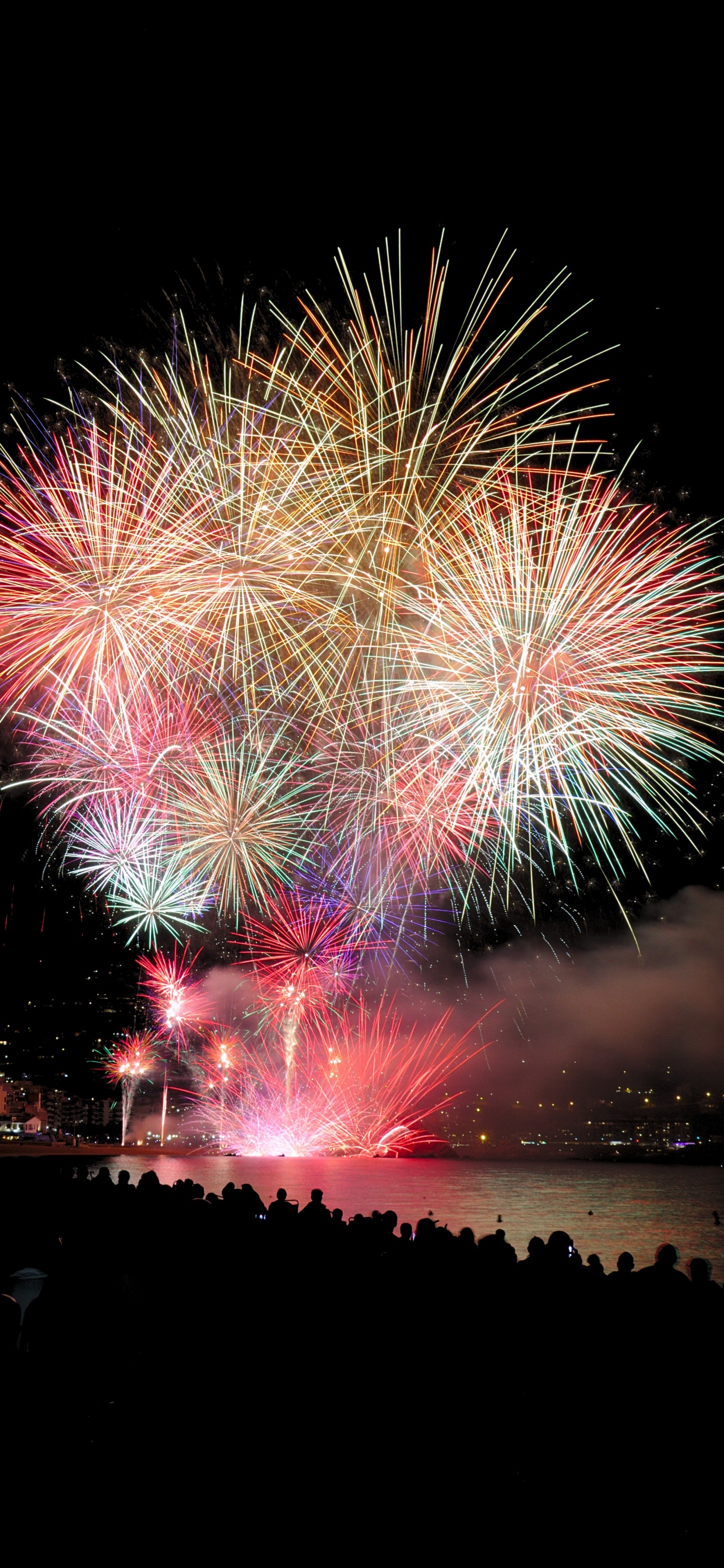 Fireworks, Party, Nature, New Years Day, Night. Wallpaper in 1242x2688 Resolution