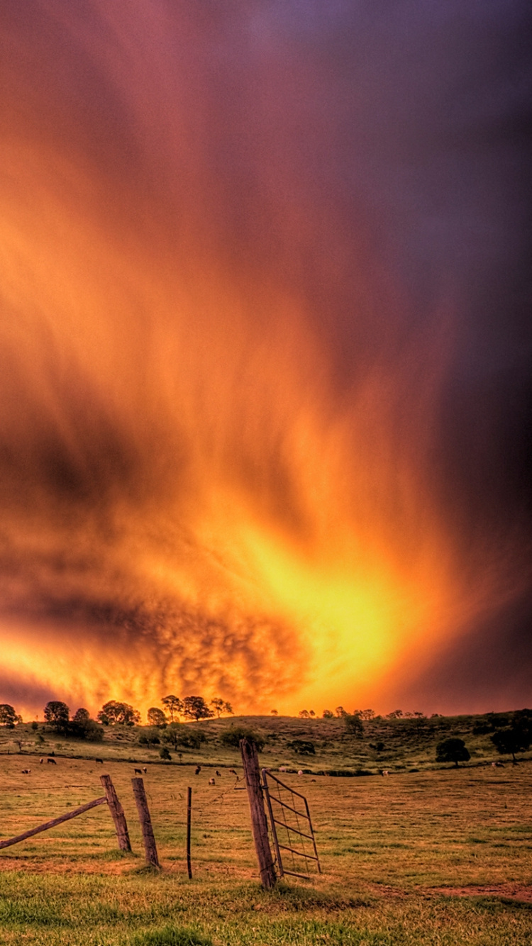 Green Grass Field With Trees Under Cloudy Sky During Daytime. Wallpaper in 750x1334 Resolution