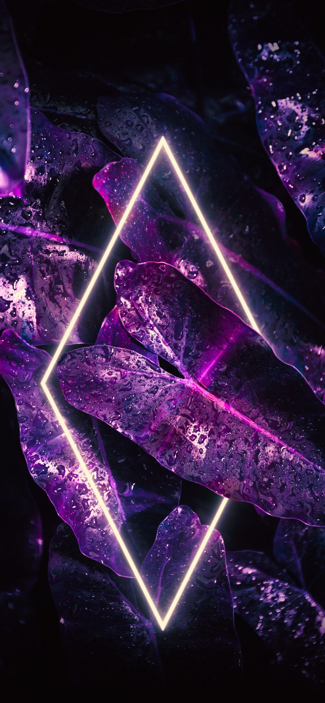 Licht, Smartphone, Purpur, Veilchen, Dreieck. Wallpaper in 1125x2436 Resolution