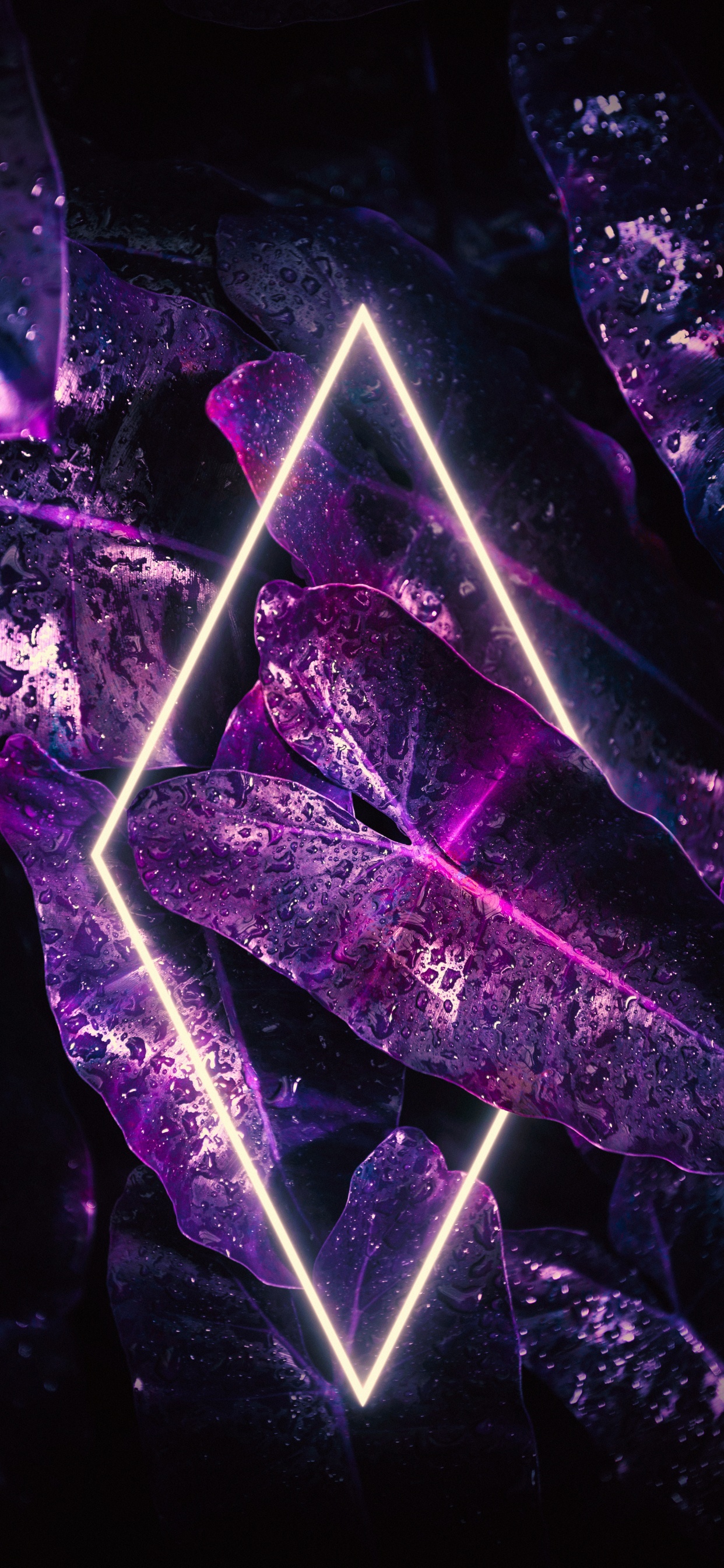 Licht, Smartphone, Purpur, Veilchen, Dreieck. Wallpaper in 1242x2688 Resolution