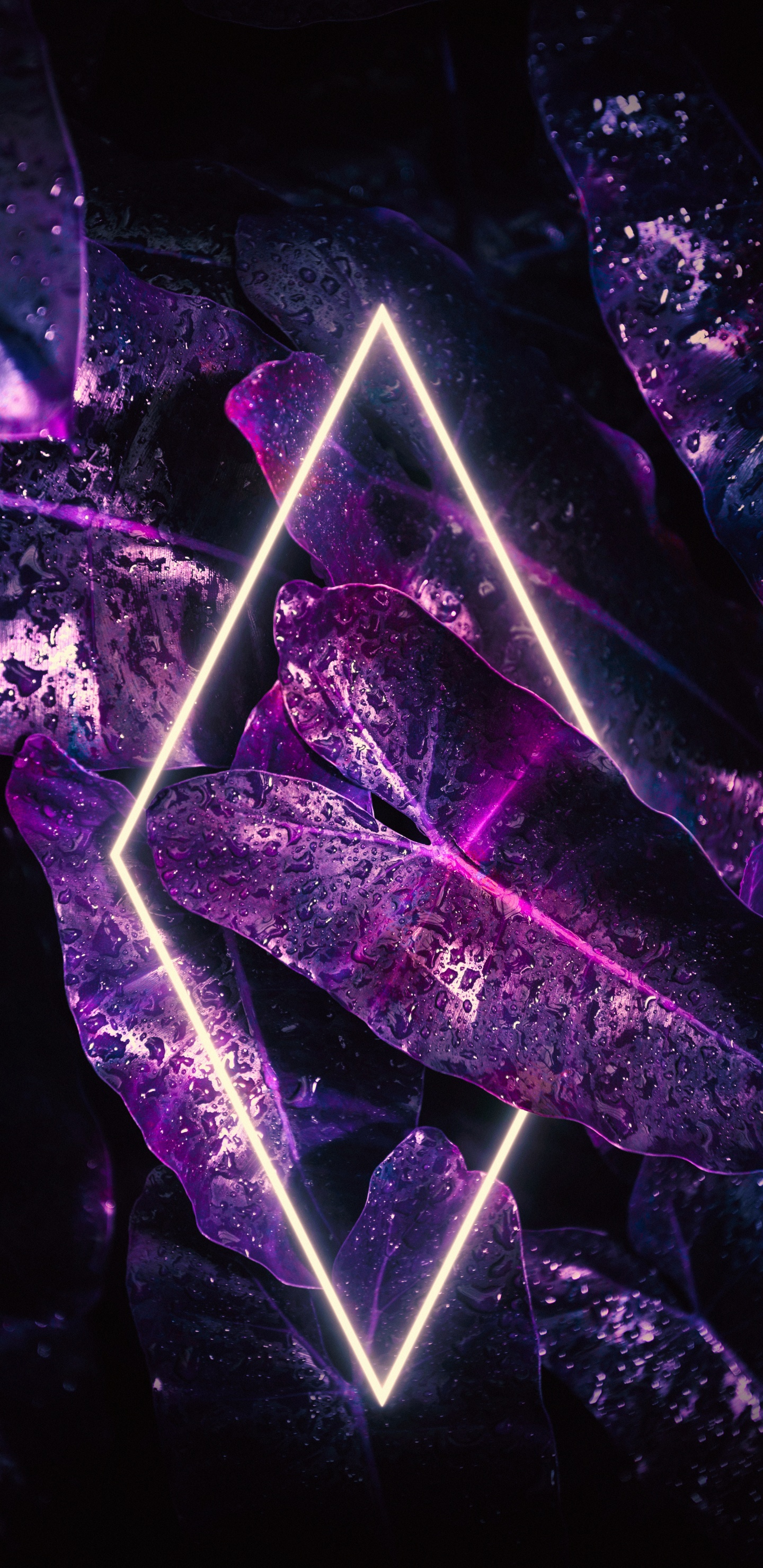 Licht, Smartphone, Purpur, Veilchen, Dreieck. Wallpaper in 1440x2960 Resolution