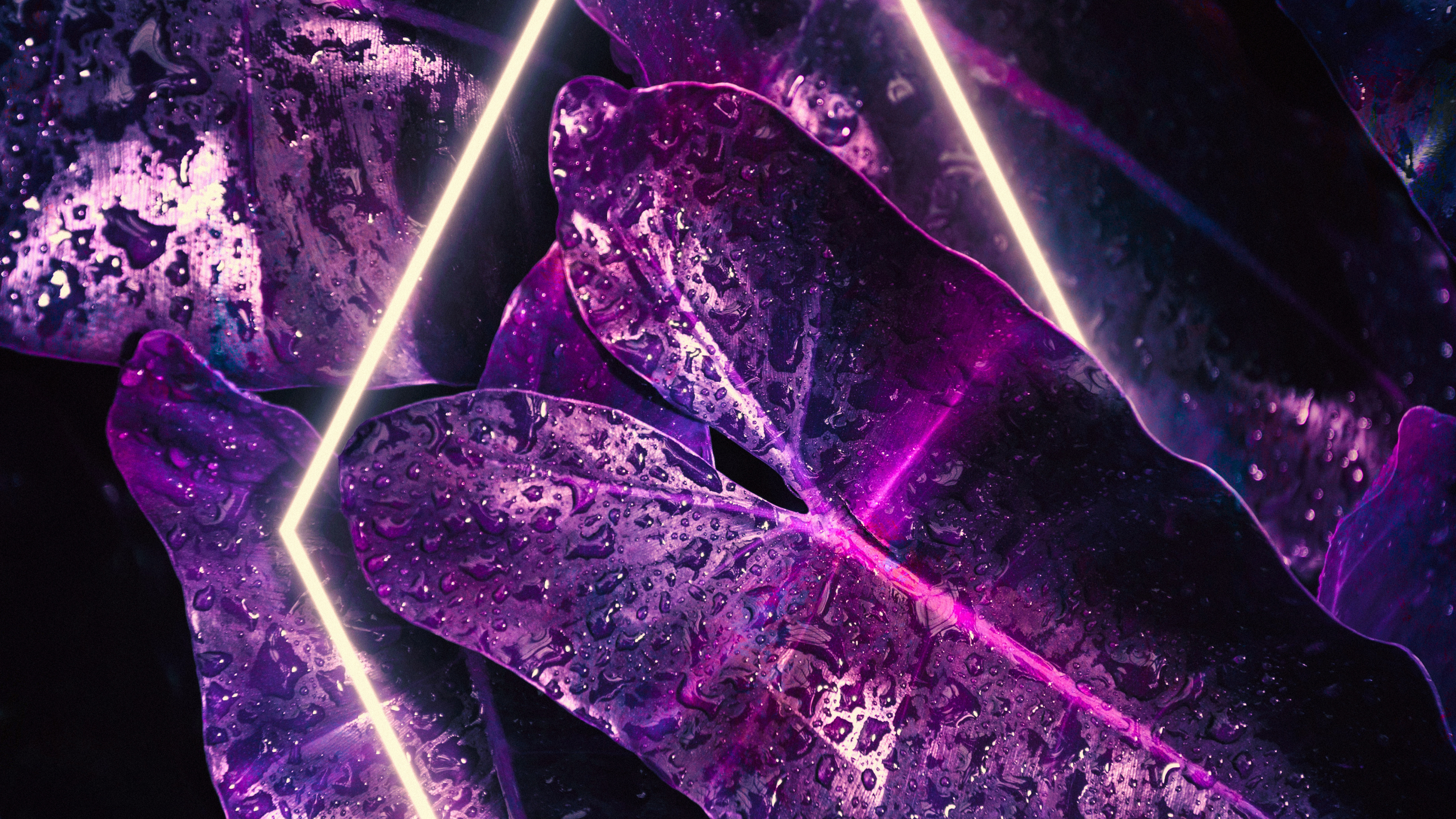 Licht, Smartphone, Purpur, Veilchen, Dreieck. Wallpaper in 3840x2160 Resolution