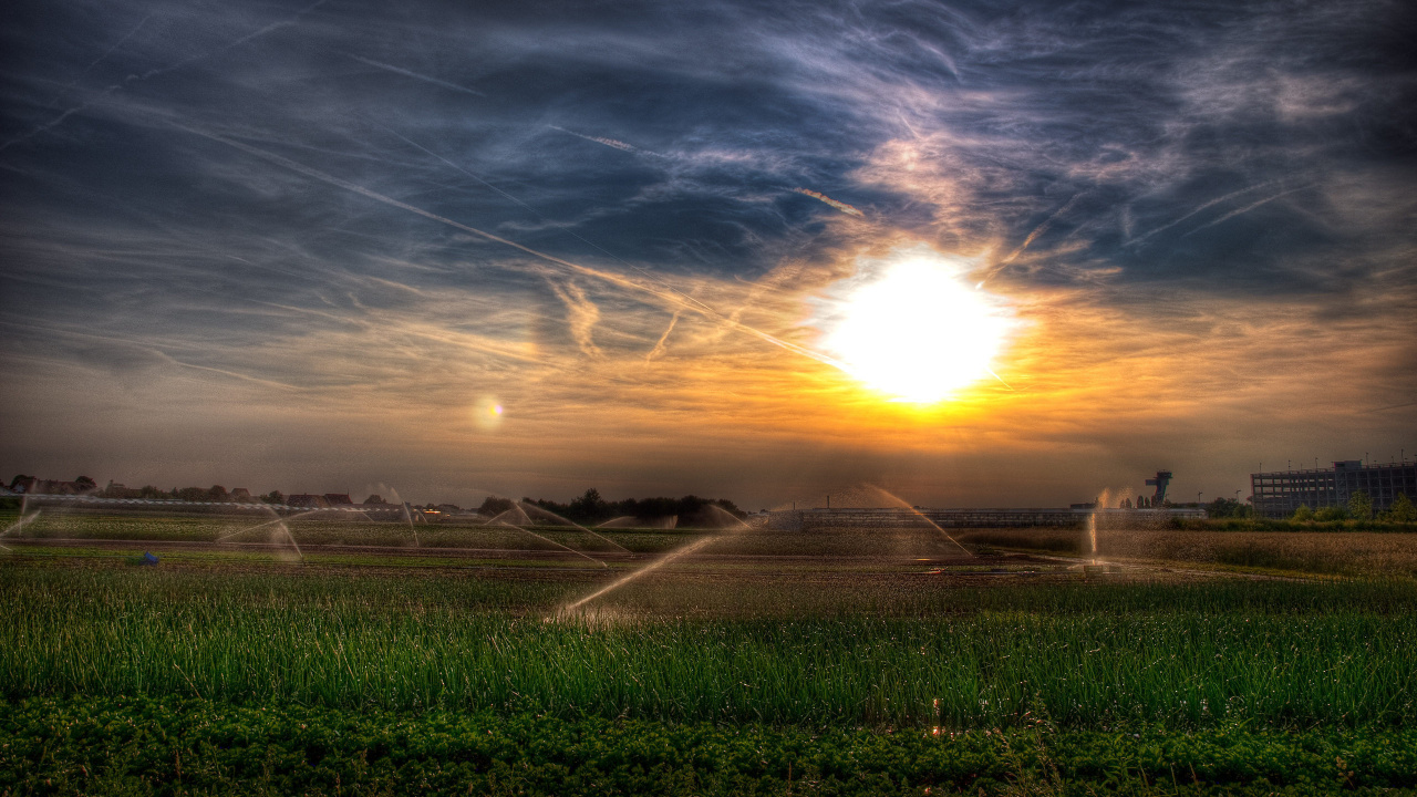 Green Grass Field During Sunset. Wallpaper in 1280x720 Resolution
