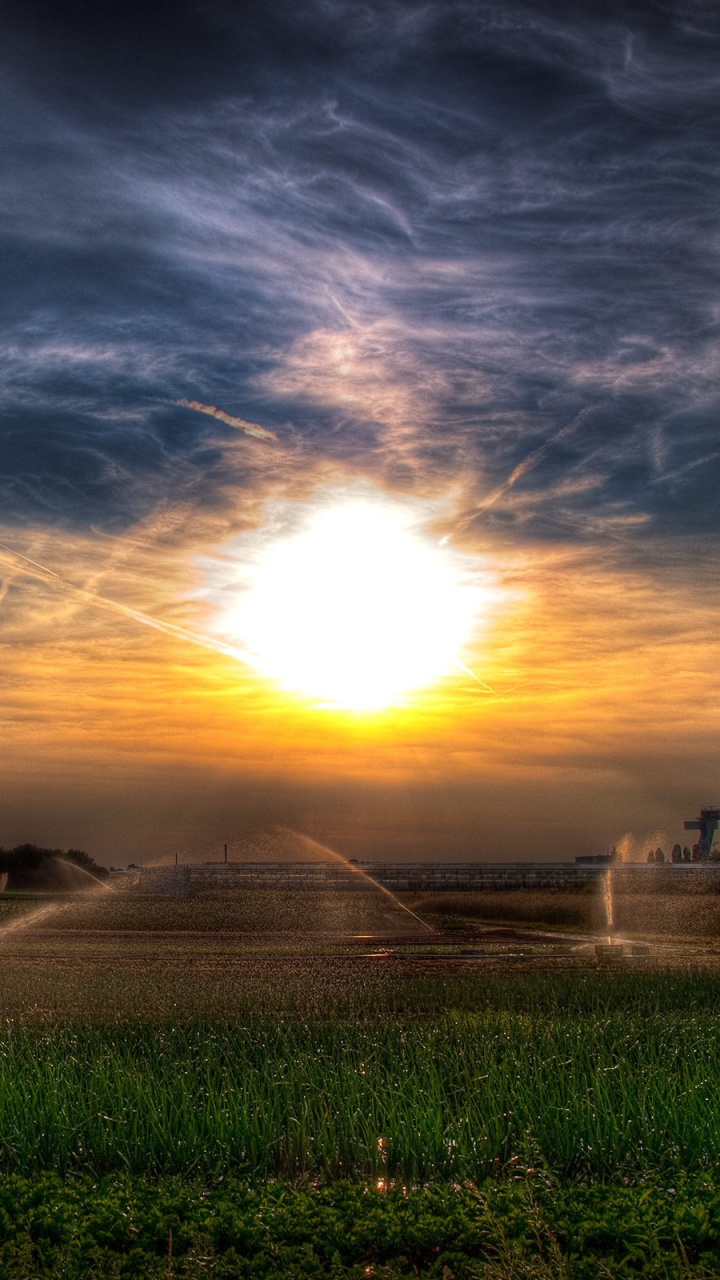 Champ D'herbe Verte Pendant le Coucher du Soleil. Wallpaper in 720x1280 Resolution