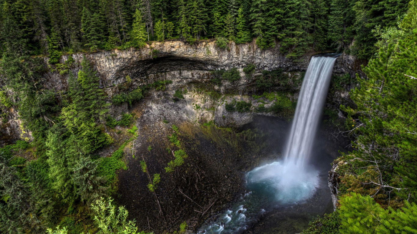 L'eau Tombe au Milieu Des Arbres Verts. Wallpaper in 1366x768 Resolution