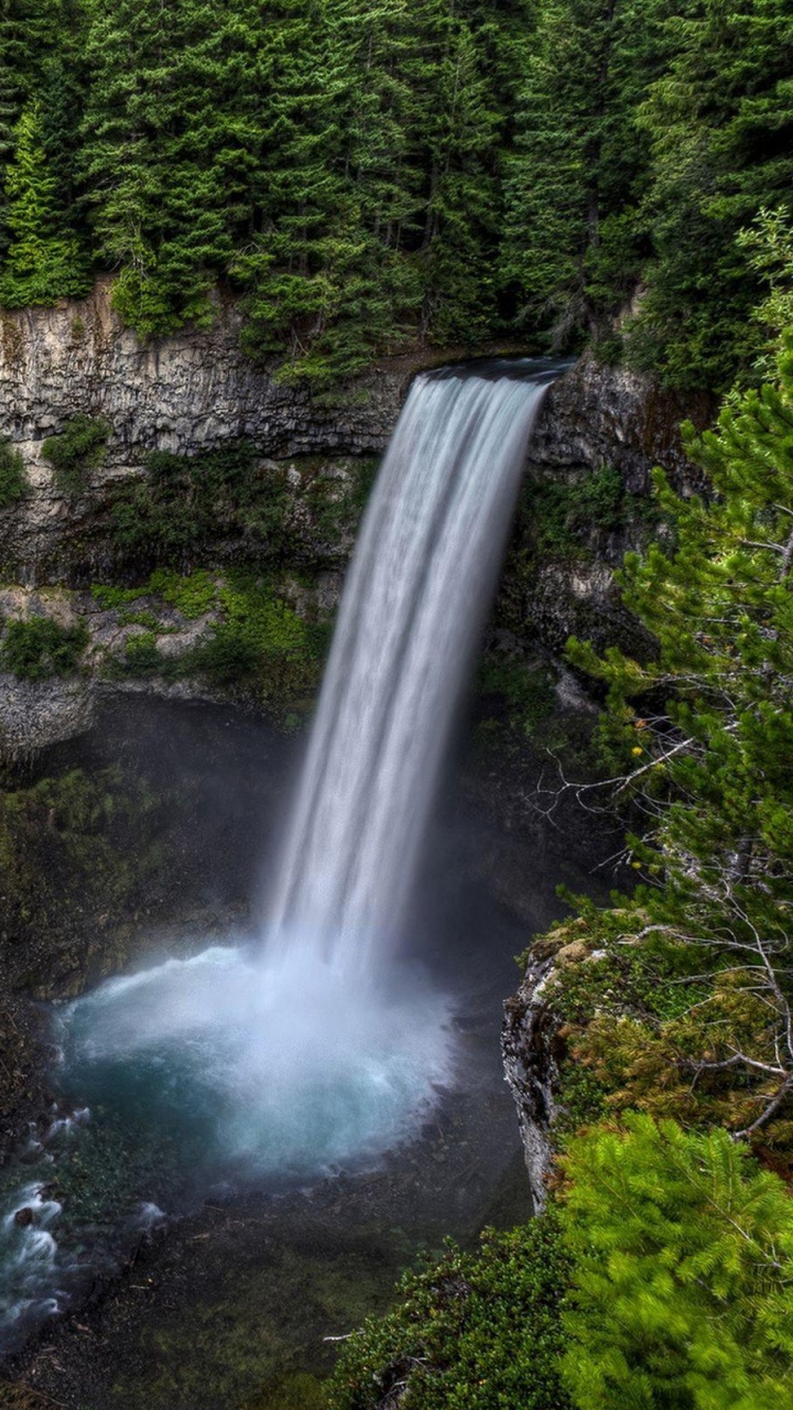 Water Falls in The Middle of Green Trees. Wallpaper in 720x1280 Resolution
