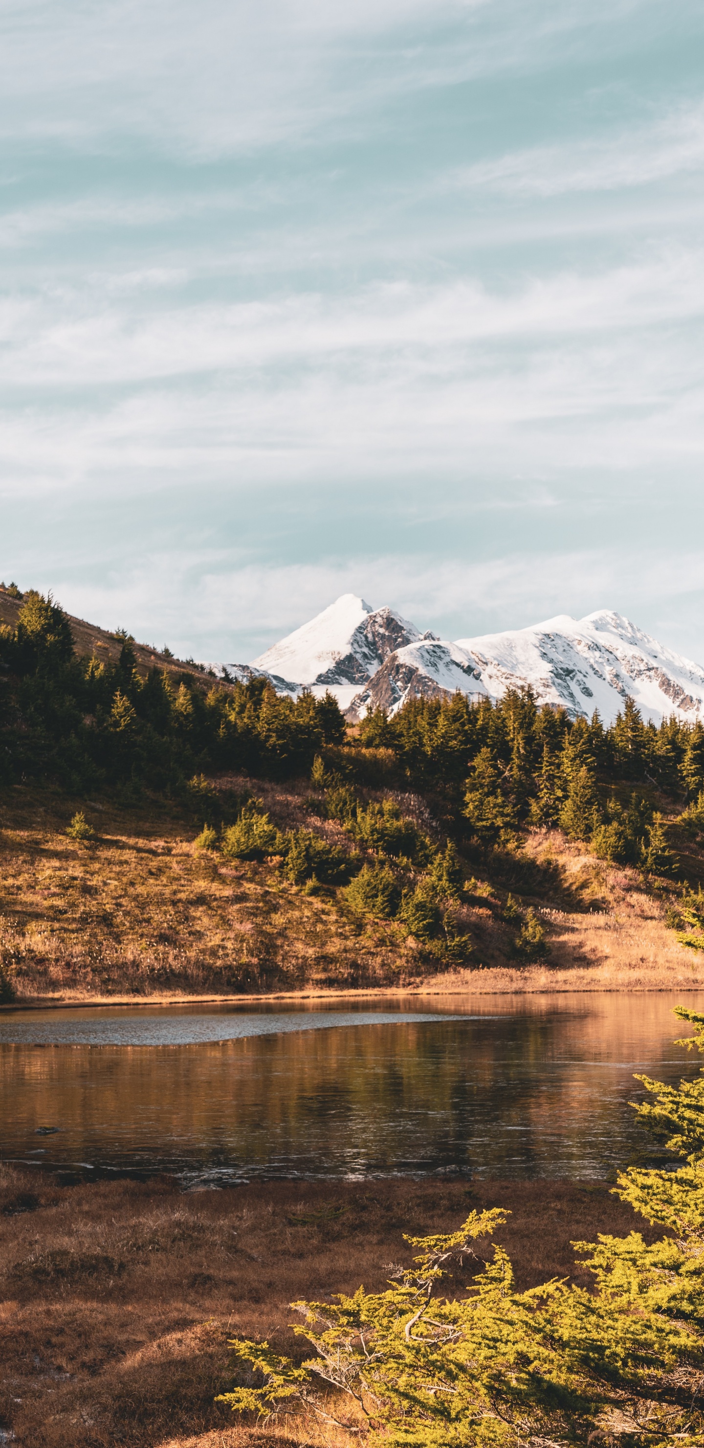 Nature, Highland, Wilderness, Reflection, Vegetation. Wallpaper in 1440x2960 Resolution
