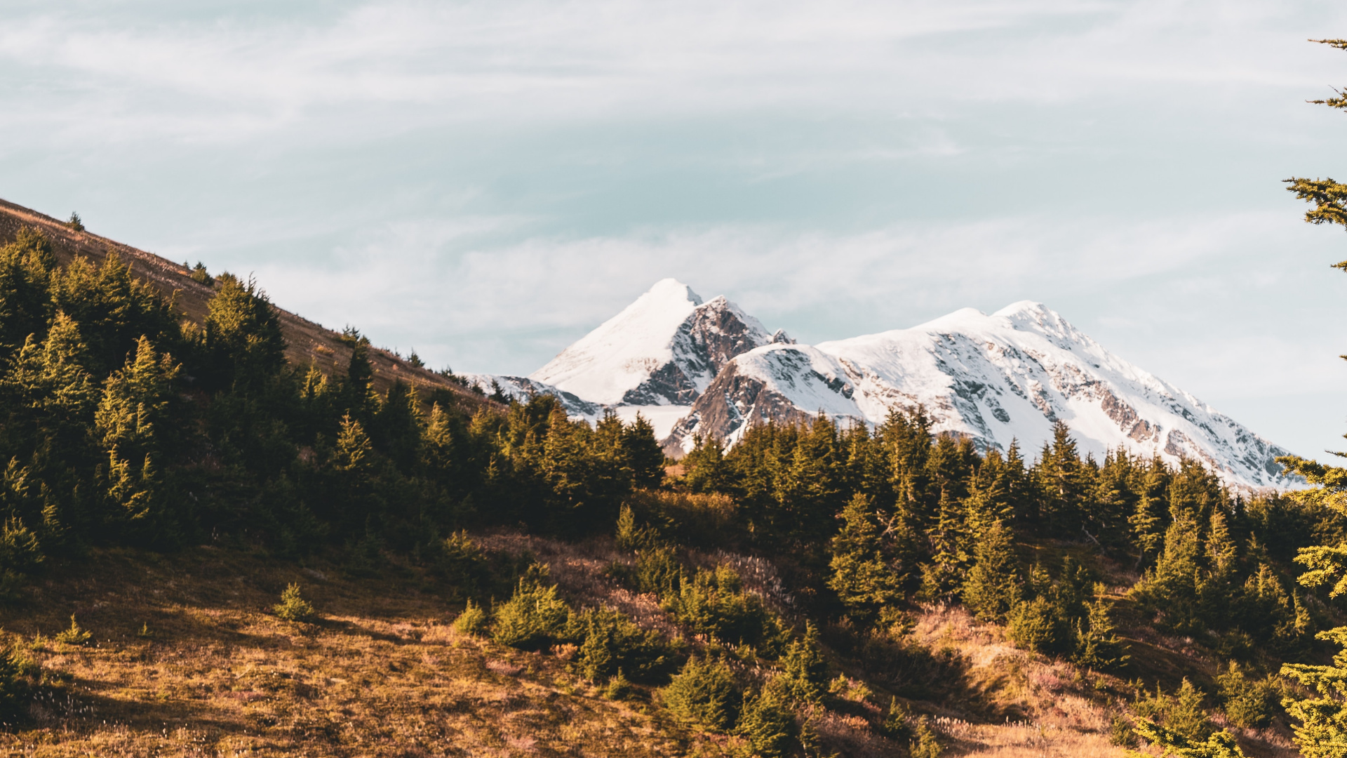 Nature, Highland, Wilderness, Reflection, Vegetation. Wallpaper in 1920x1080 Resolution