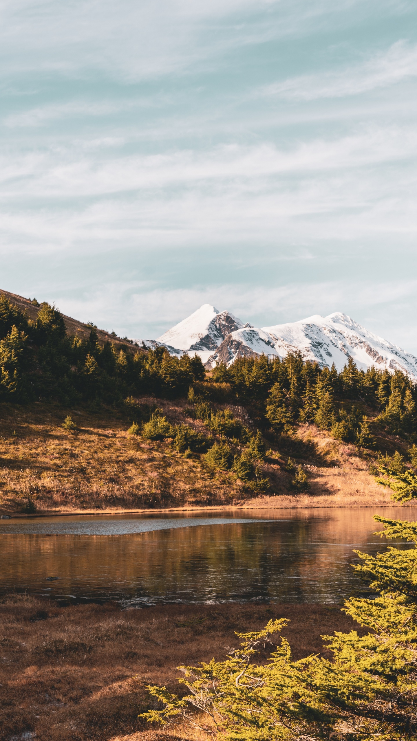 Natur, Hochland, Wildnis, Reflexion, Vegetation. Wallpaper in 1440x2560 Resolution