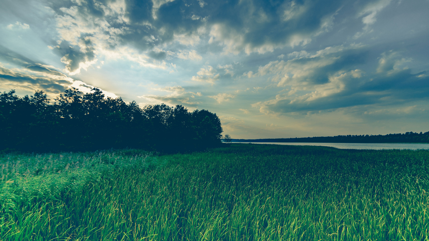 Nature, Natural Landscape, Grassland, Green, Grass. Wallpaper in 1366x768 Resolution