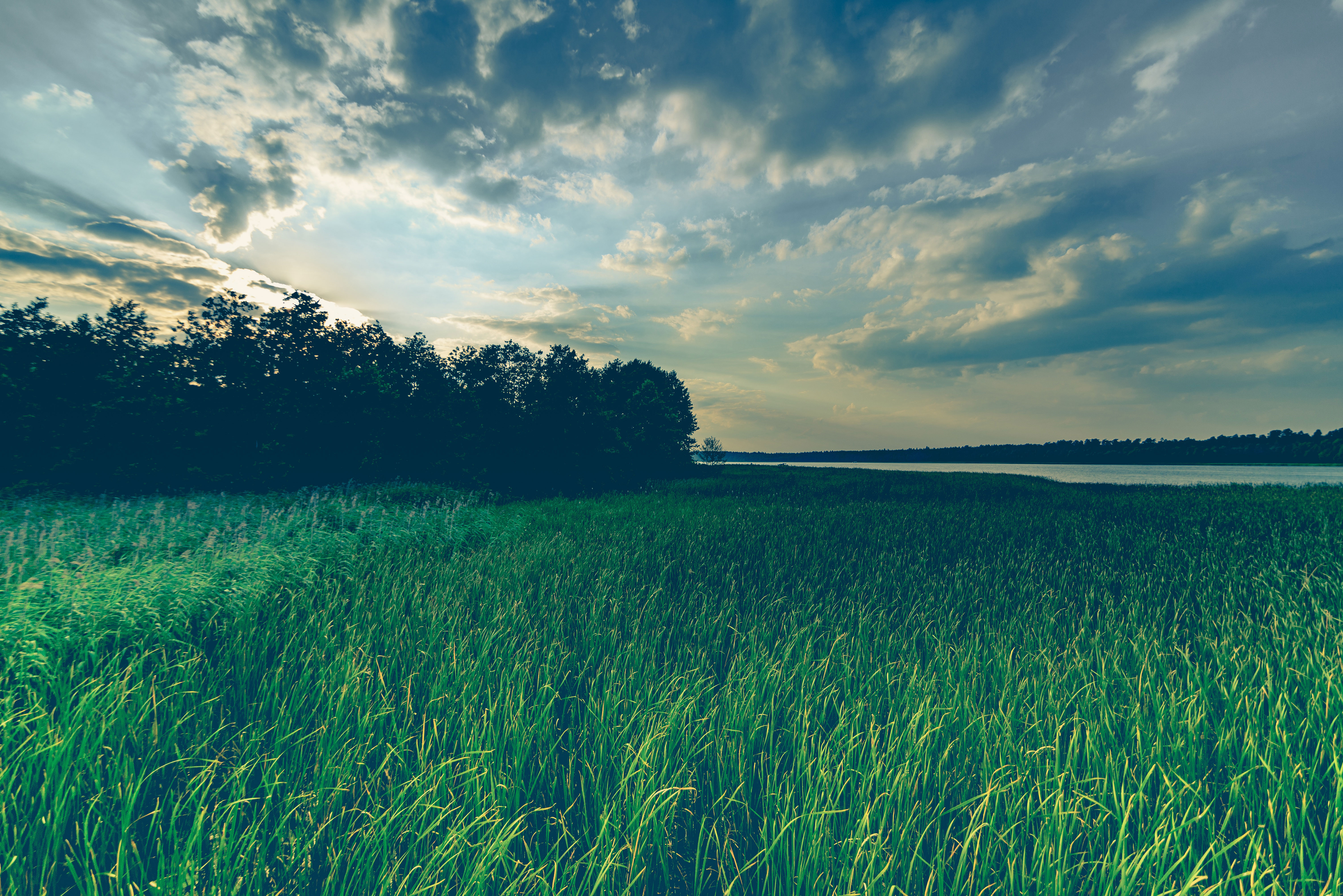 green environment wallpaper 4k