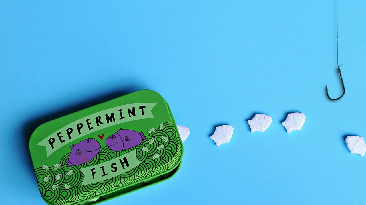 Estuche Floral Rosa y Blanco. Wallpaper in 1280x720 Resolution