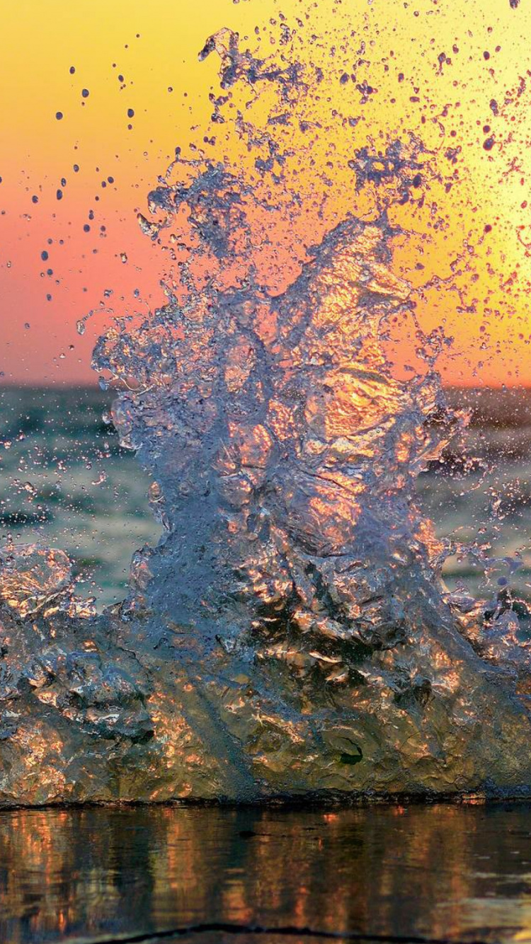 Brauner Baumstamm Auf Dem Wasser Bei Sonnenuntergang. Wallpaper in 750x1334 Resolution