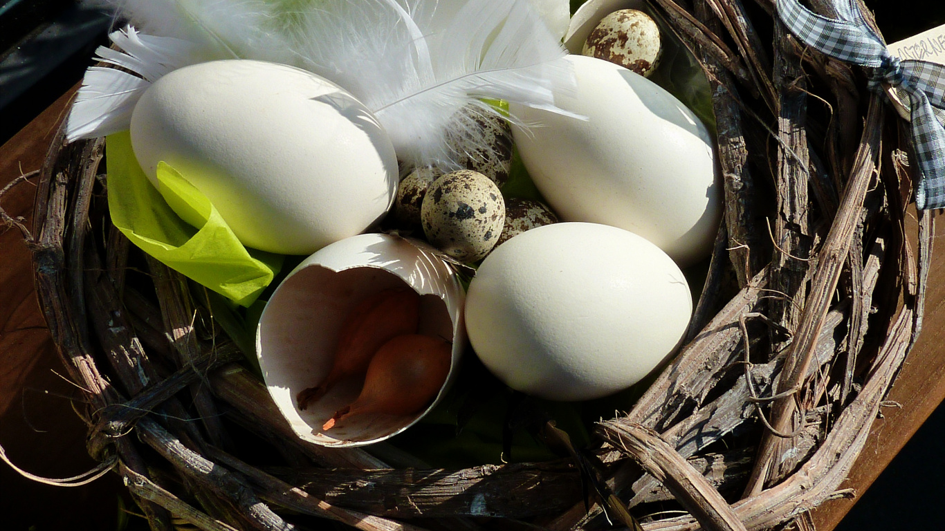 Easter Egg, Egg, Bird Nest, Nest, Plant. Wallpaper in 1366x768 Resolution