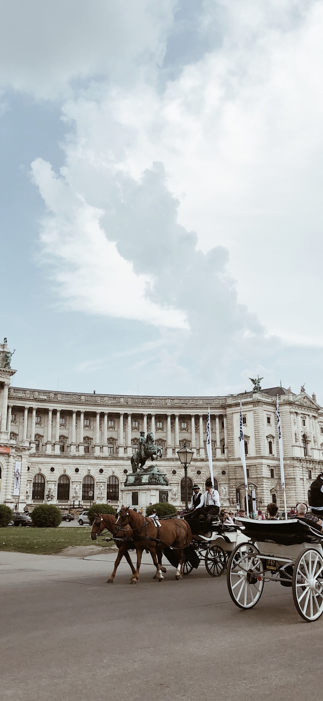 Hofburg Imperial Palace, Carriage, Horse, Horse Harness, Horse and Buggy. Wallpaper in 1125x2436 Resolution