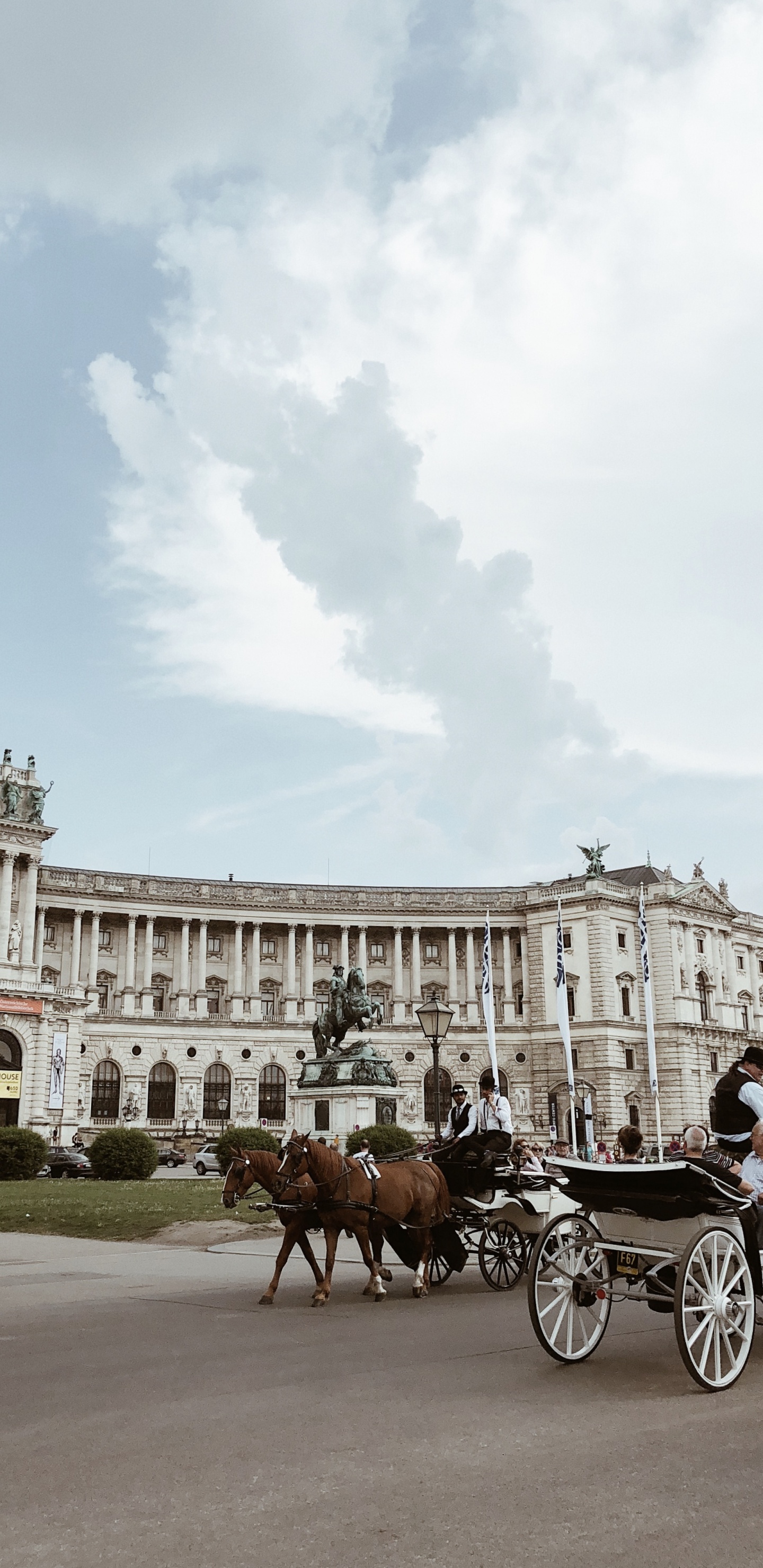 Hofburg Imperial Palace, Carriage, Horse, Horse Harness, Horse and Buggy. Wallpaper in 1440x2960 Resolution