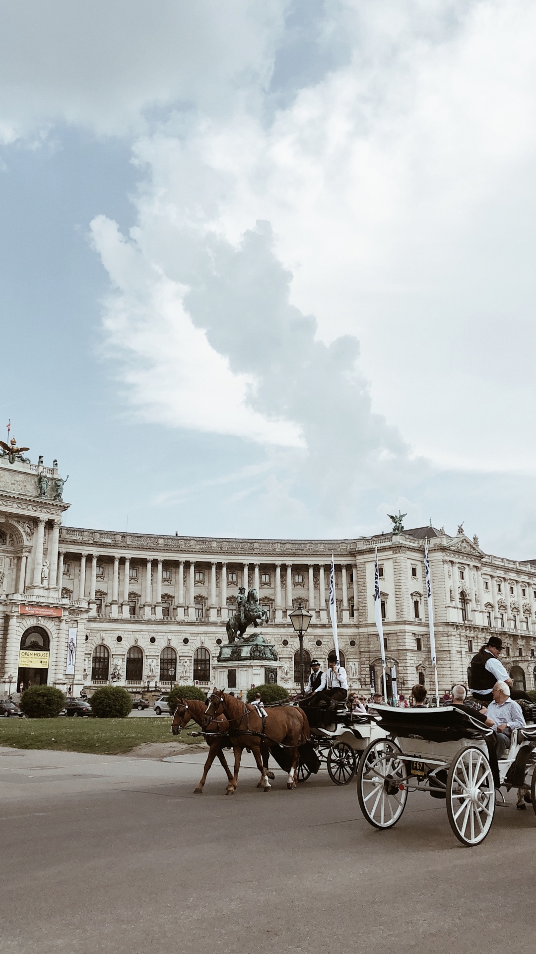 Palacio Imperial de Hofburg, Arnés de Caballo, Caballo y Buggy, Rueda, Animal Pack. Wallpaper in 1080x1920 Resolution