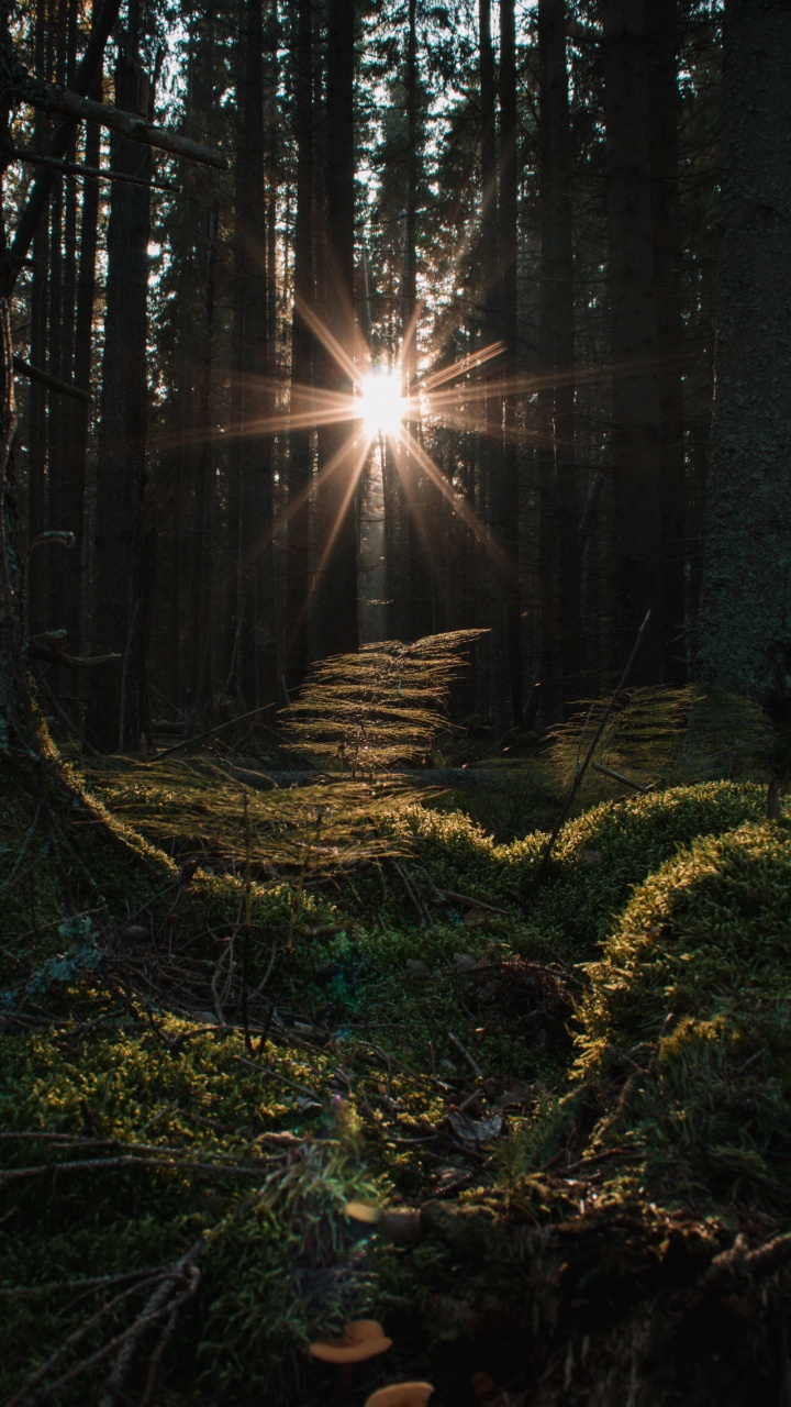 Smartphone, Apple, Atmosphère, Les Gens Dans la Nature, Paysage Naturel. Wallpaper in 720x1280 Resolution