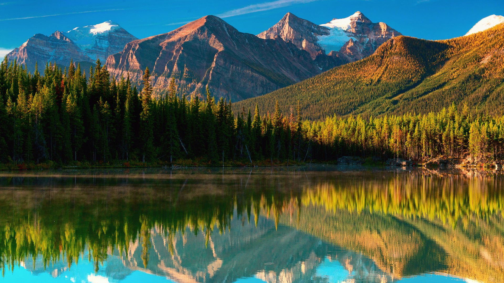 Grüne Bäume in Der Nähe Von See Und Berg. Wallpaper in 1920x1080 Resolution