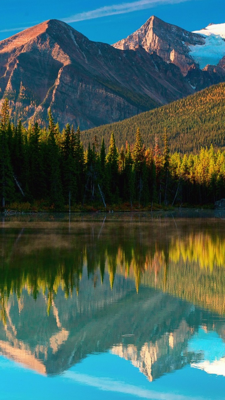 Grüne Bäume in Der Nähe Von See Und Berg. Wallpaper in 720x1280 Resolution