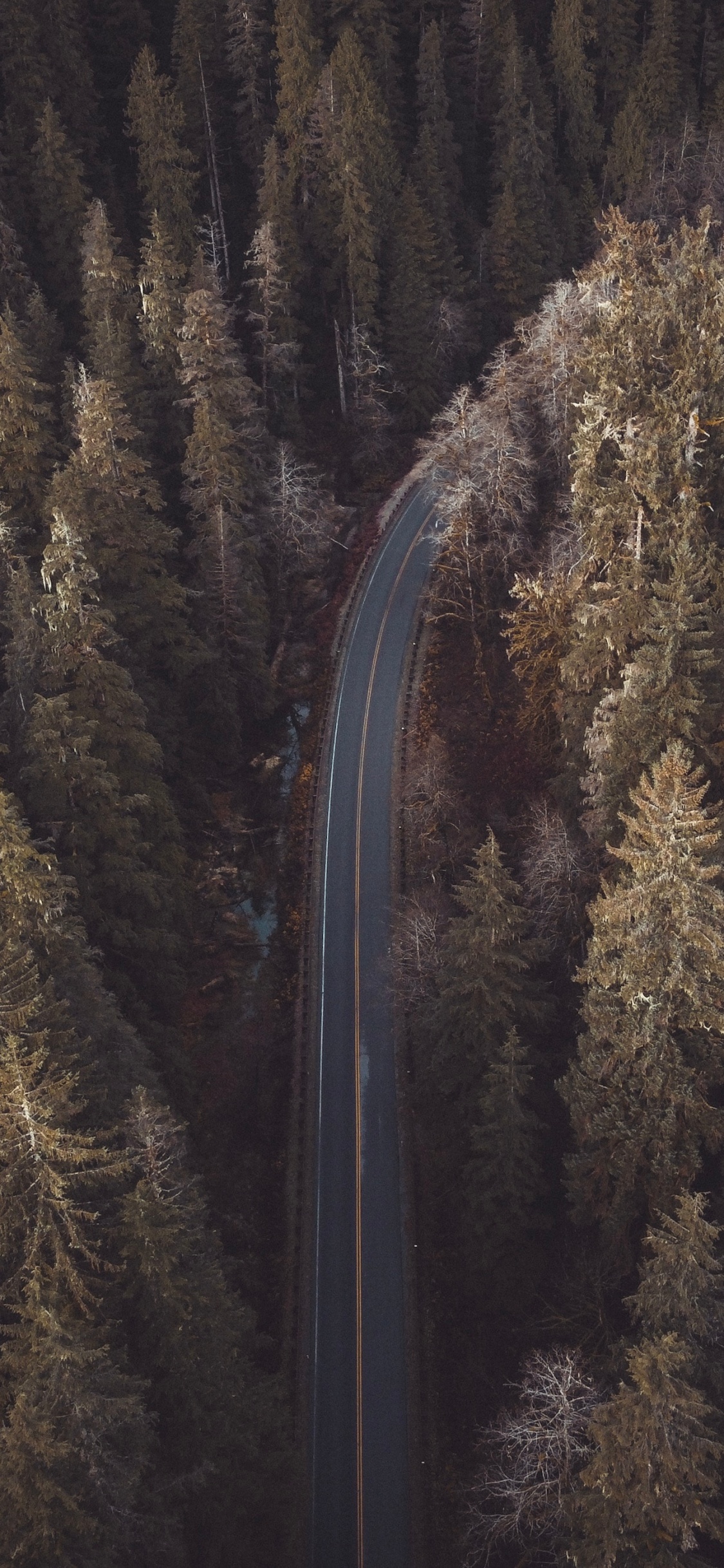 Reflexión, Morena, Naturaleza. Wallpaper in 1125x2436 Resolution