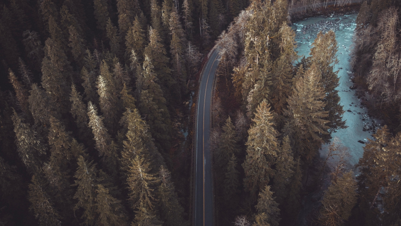 Reflection, Nature M, Formation, Tree, Brown. Wallpaper in 1280x720 Resolution