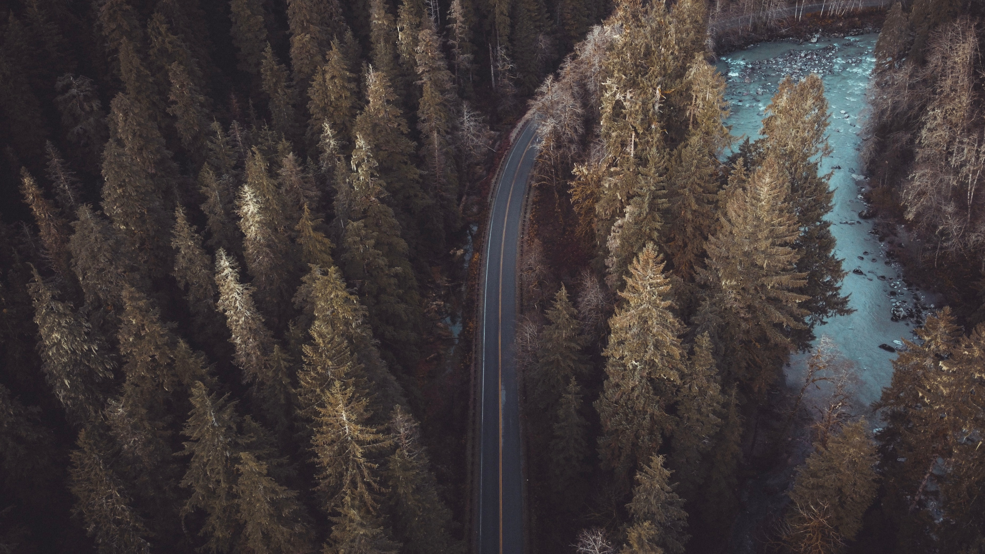 Reflexion, Baum, Brown, Natur. Wallpaper in 1920x1080 Resolution