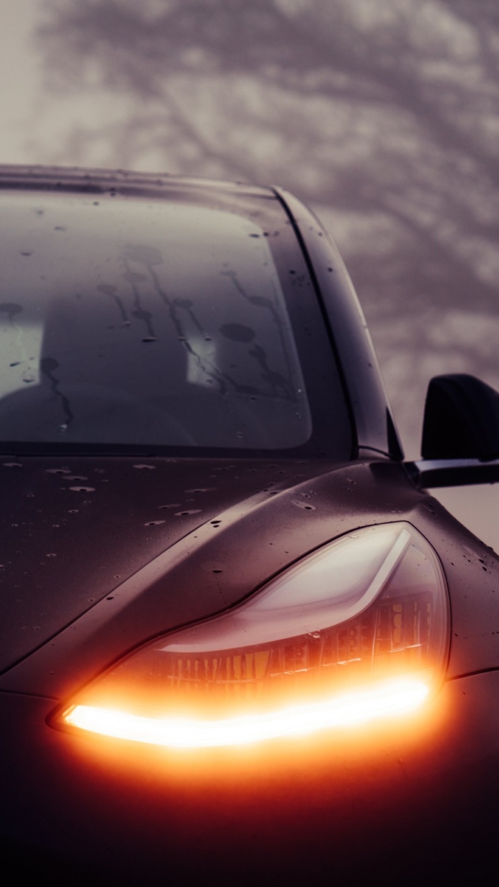 Tesla Model 3, Tesla, 2019 Tesla Modelo 3, Tesla Model S, Tesla Roadster. Wallpaper in 720x1280 Resolution