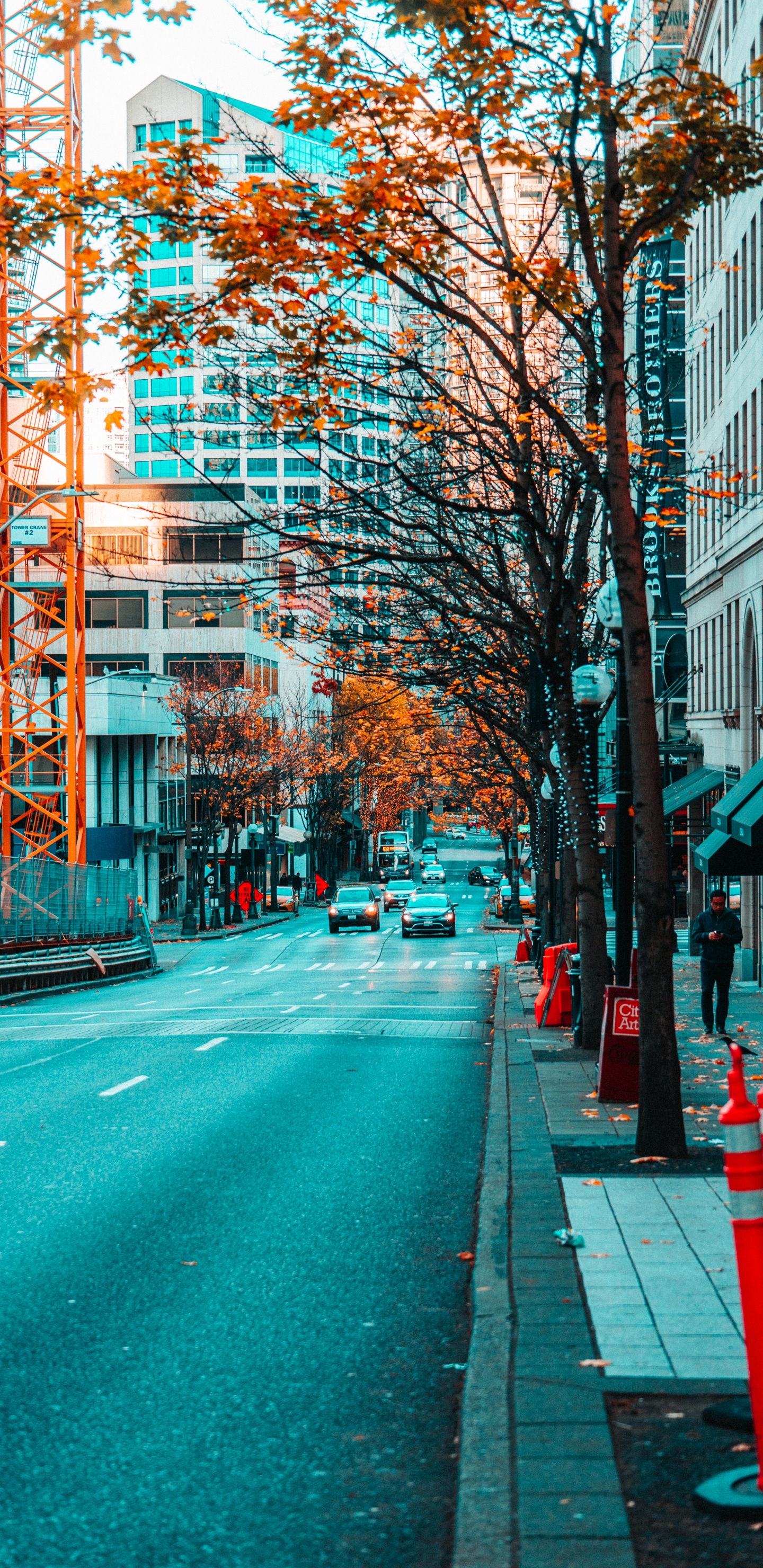 Red Car on Road Near Building During Daytime. Wallpaper in 1440x2960 Resolution