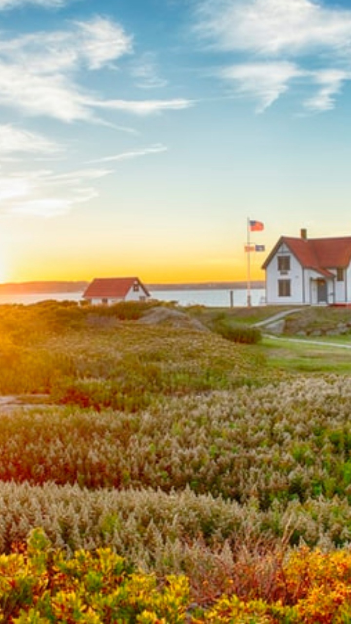 Feld, Cloud, Ökoregion, Naturlandschaft, Afterglow. Wallpaper in 720x1280 Resolution