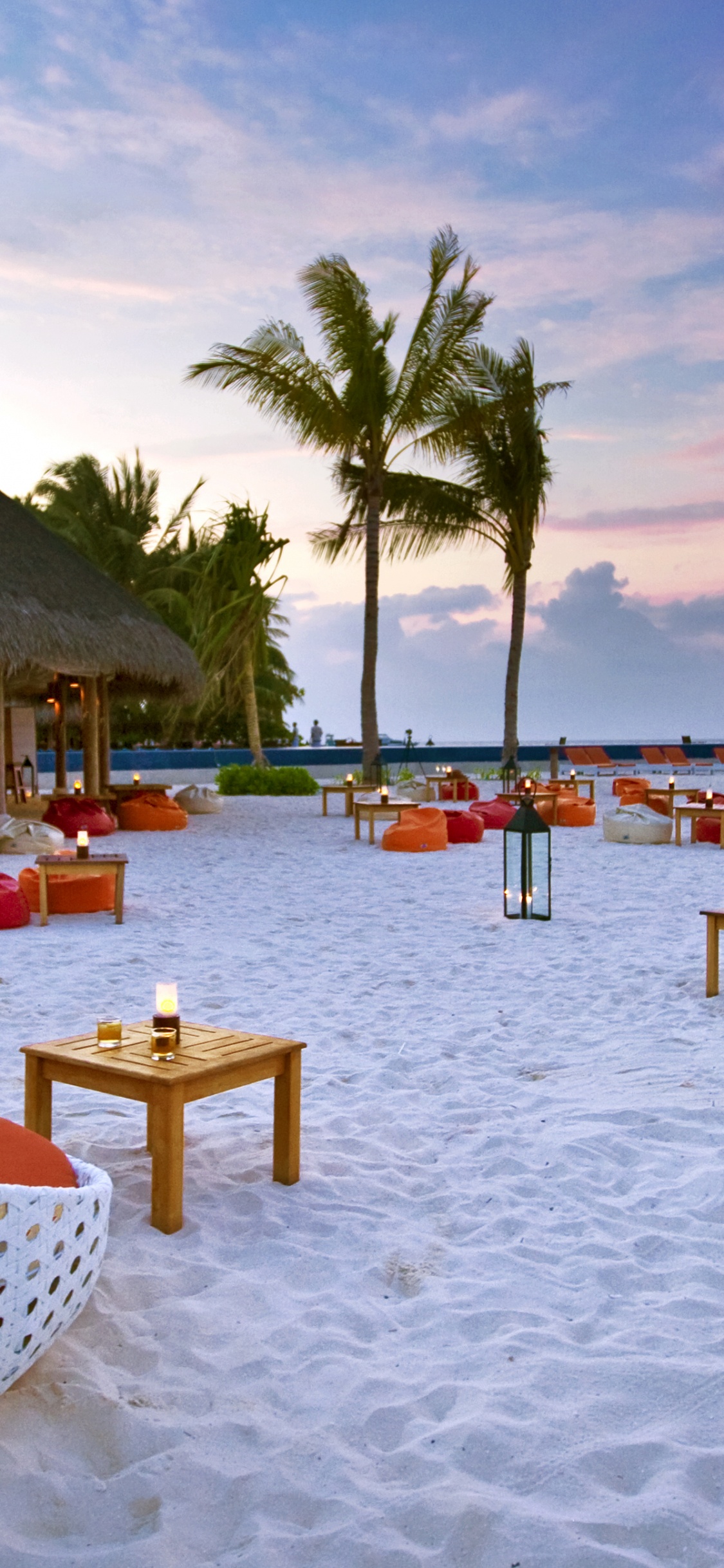 White and Brown Beach Chairs and Palm Trees on Beach During Daytime. Wallpaper in 1125x2436 Resolution