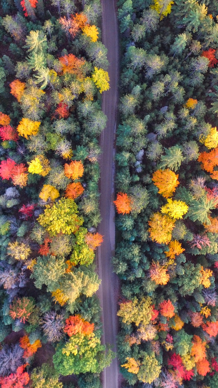 鸟瞰图, 黄色的, 色彩, 橙色, 艺术 壁纸 720x1280 允许