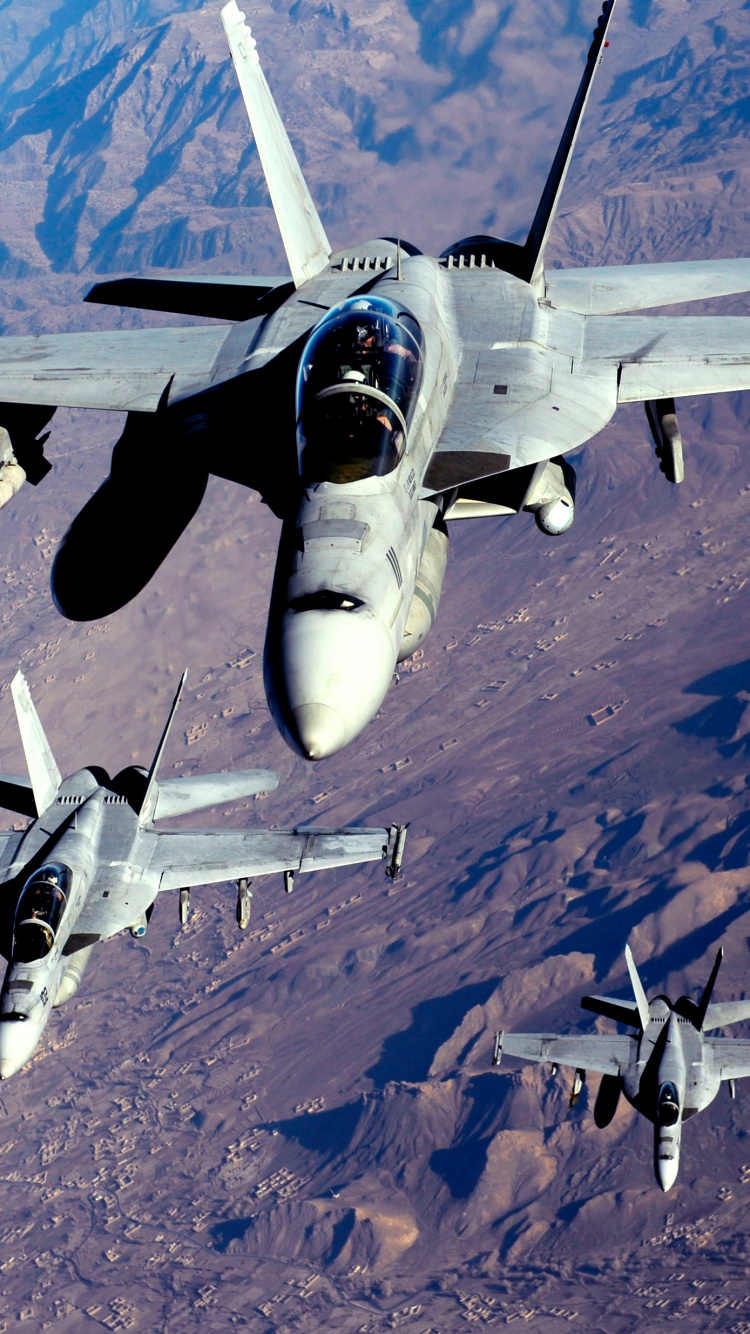 波音F-18E F超级大黄蜂, 美国海军, 军用飞机, 空军, 航空 壁纸 750x1334 允许