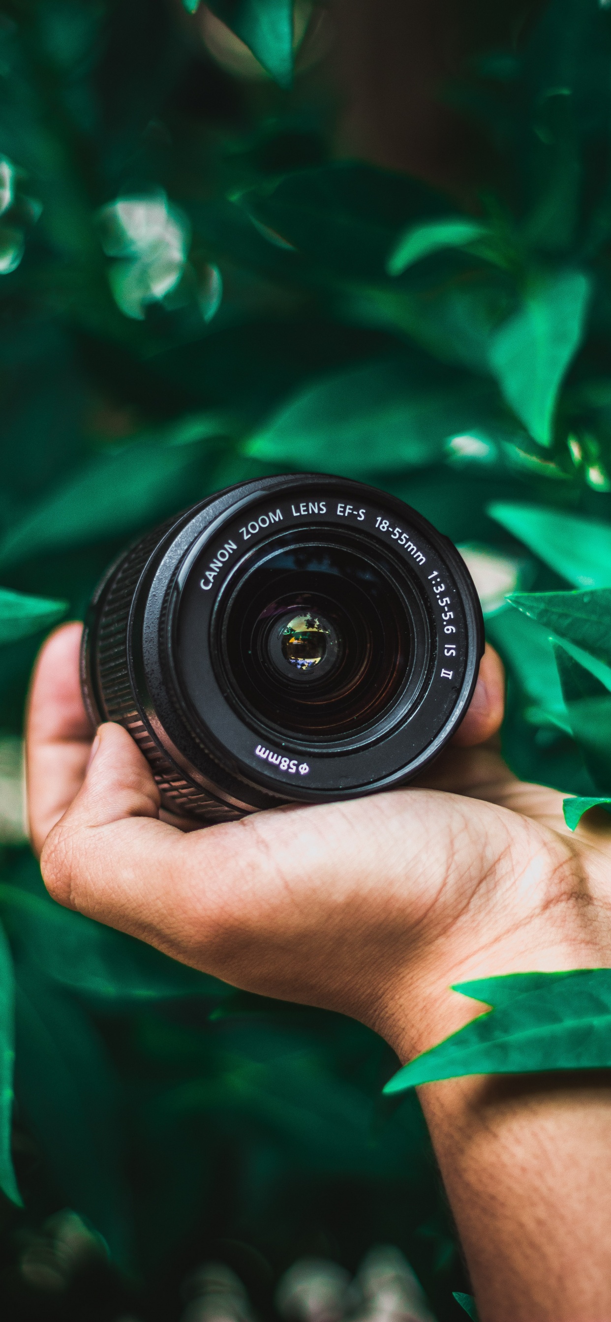 Person Holding Black Nikon Camera Lens. Wallpaper in 1242x2688 Resolution
