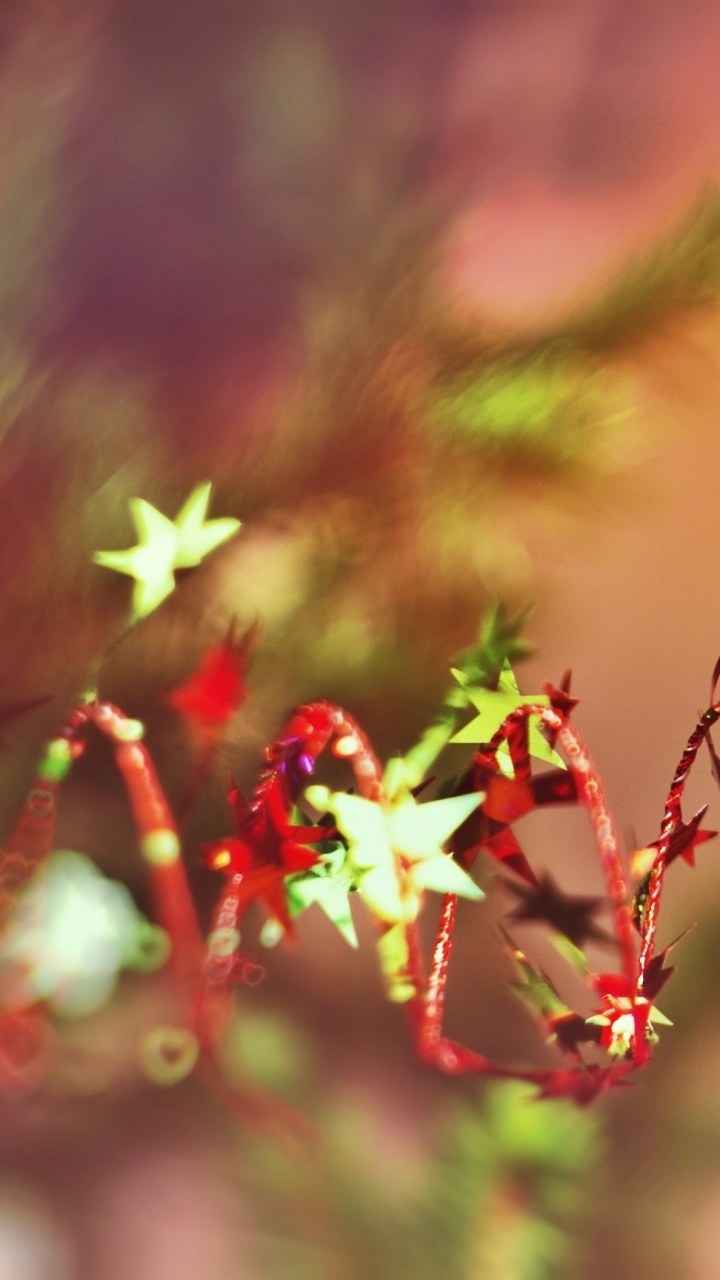 Christmas Day, New Year, Holiday, Red, Leaf. Wallpaper in 720x1280 Resolution