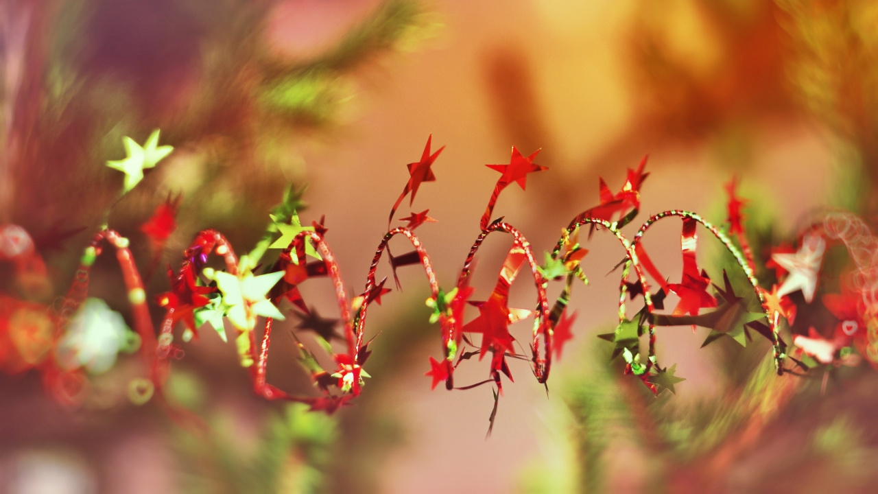 Weihnachten, Neujahr, Blatt, Frühjahr, Branch. Wallpaper in 1280x720 Resolution