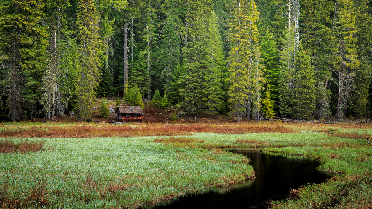 Naturaleza, Desierto, Agua, Paisaje Natural, Alerce. Wallpaper in 1280x720 Resolution