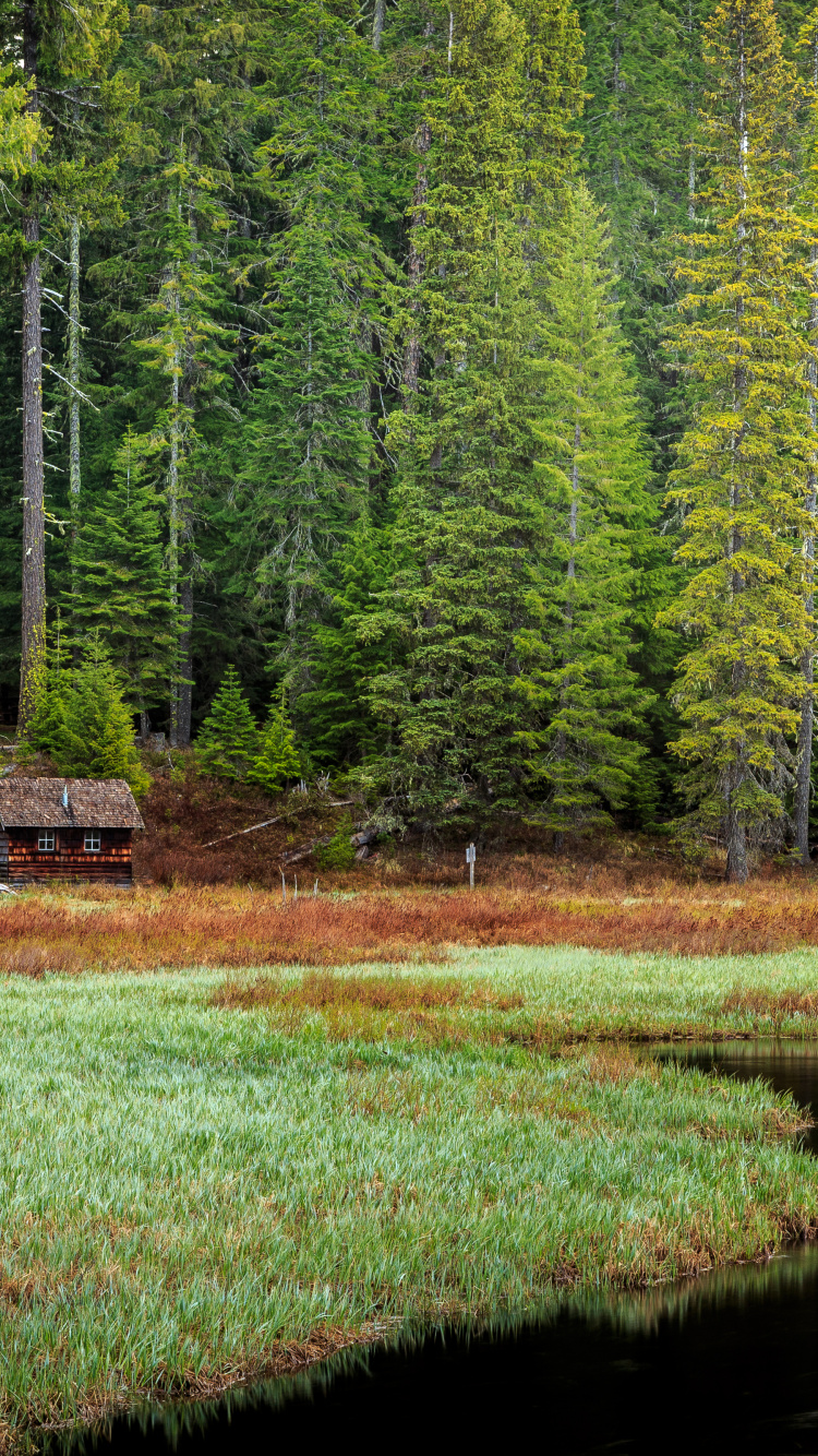 Naturaleza, Desierto, Agua, Paisaje Natural, Alerce. Wallpaper in 750x1334 Resolution