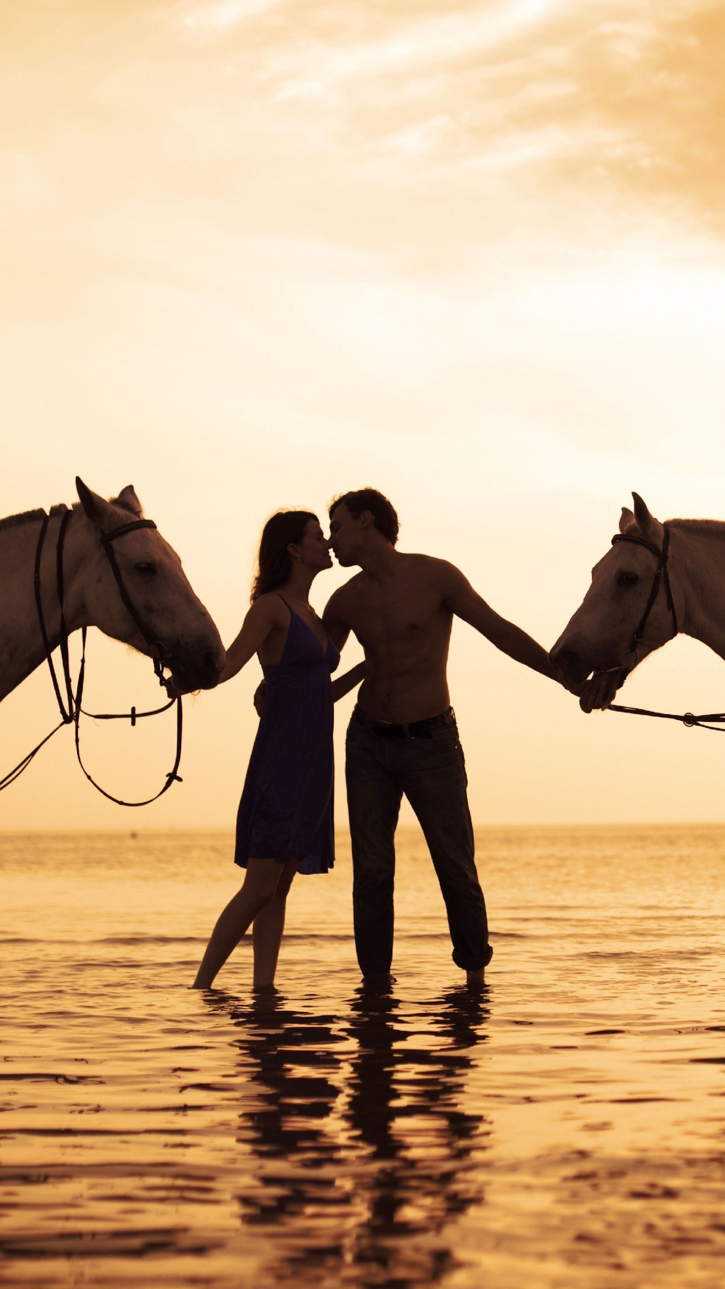 Freundschaft, Mare, Hengst, Tierwelt, Romantik. Wallpaper in 1440x2560 Resolution