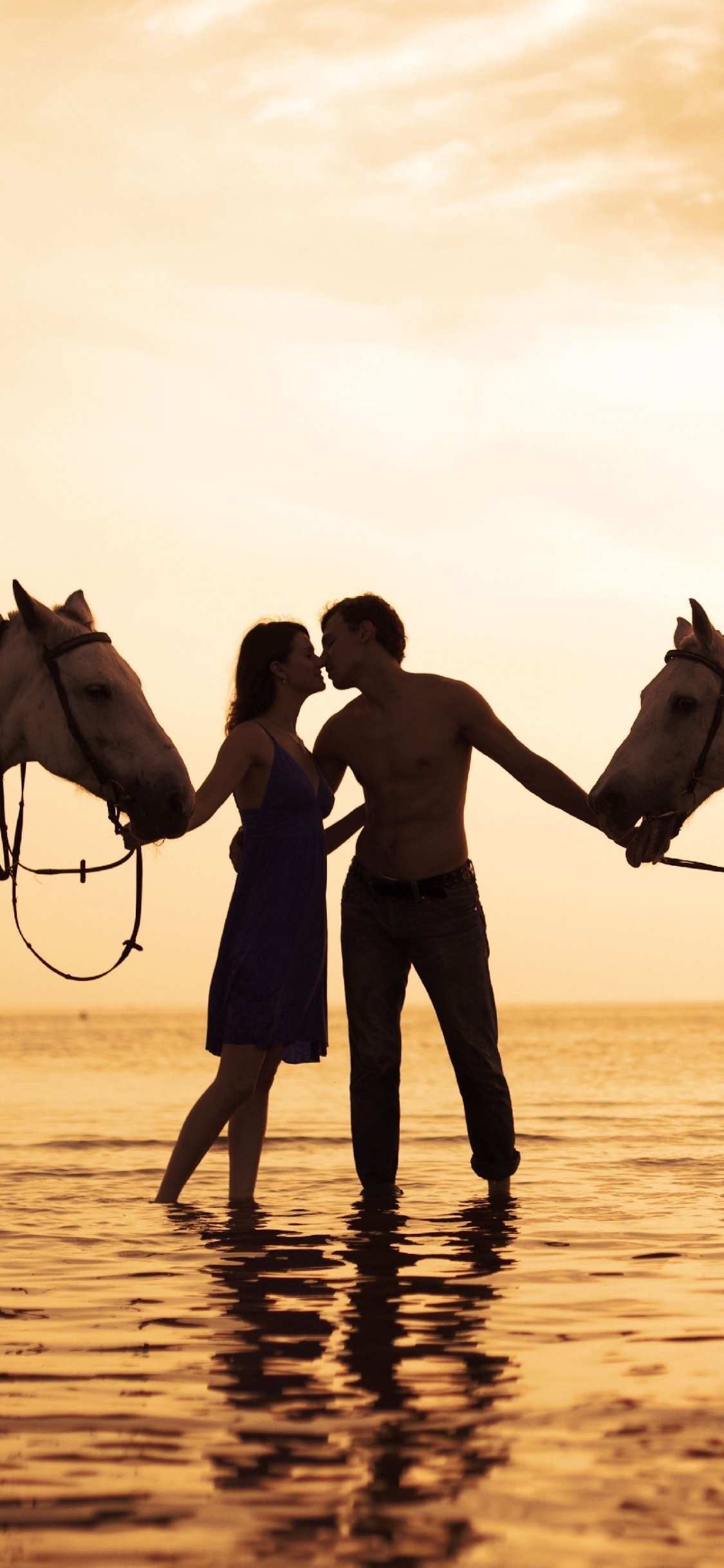 Amistad, Yegua, Semental, Fauna, Romanticismo. Wallpaper in 1125x2436 Resolution