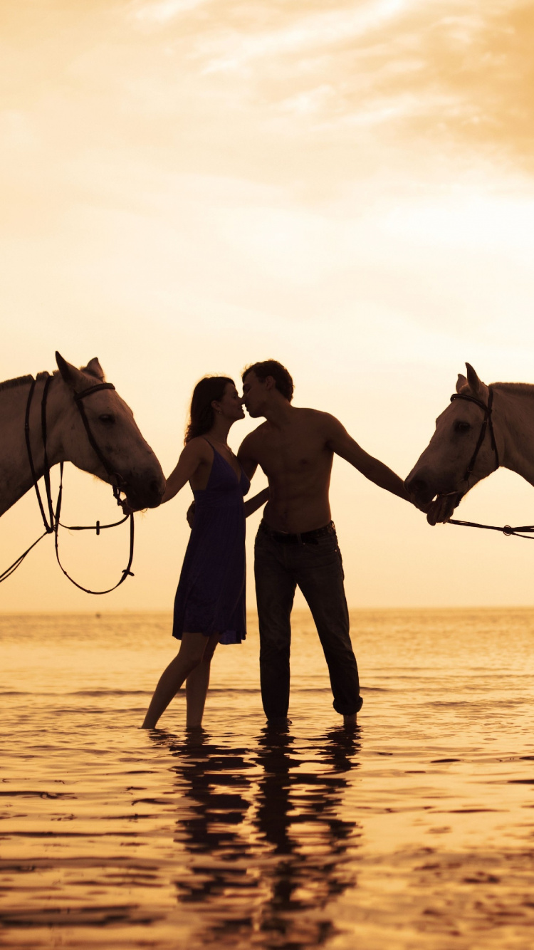 Amistad, Yegua, Semental, Fauna, Romanticismo. Wallpaper in 750x1334 Resolution