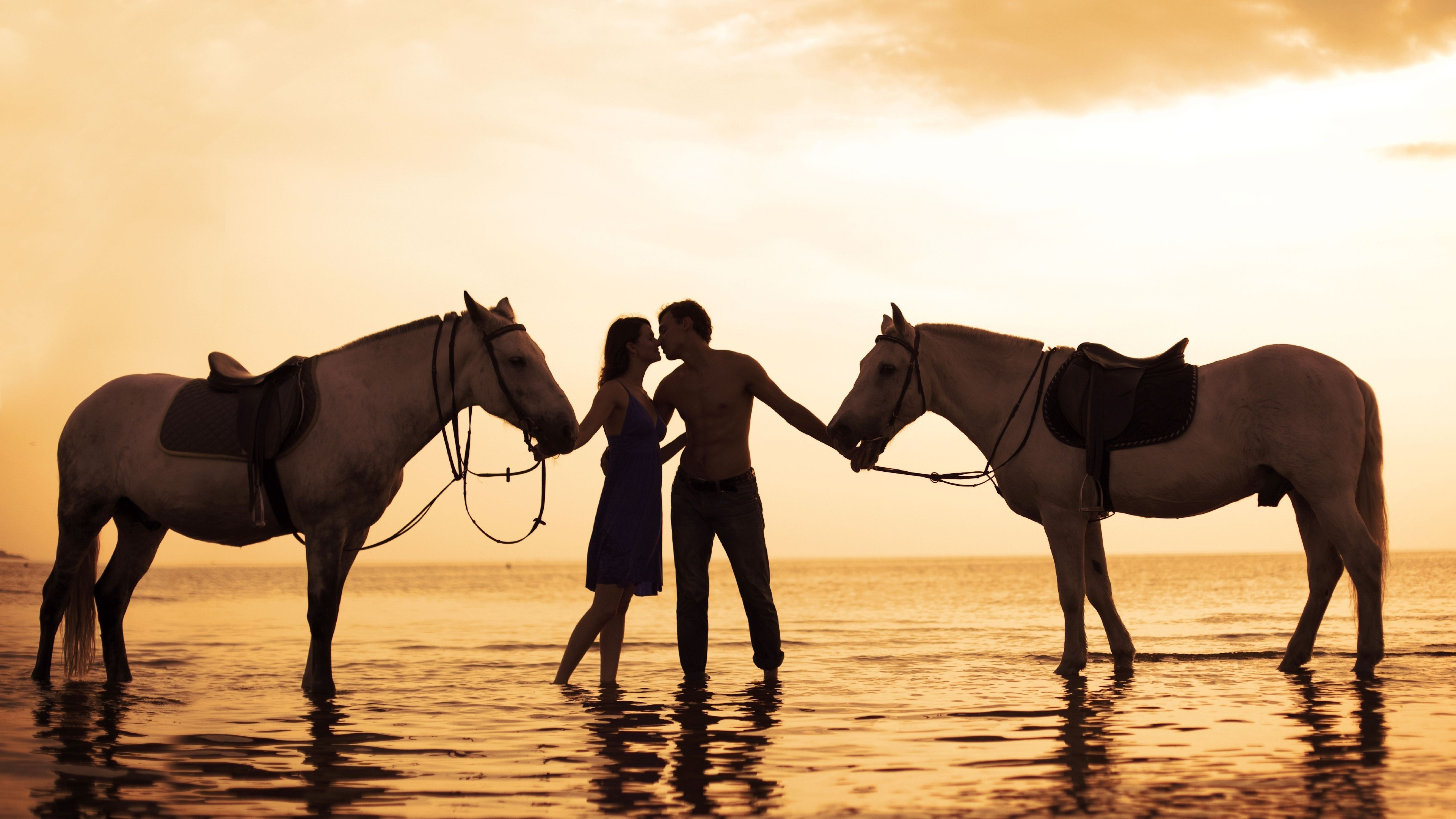 Horse, Friendship, Mare, Stallion, Wildlife. Wallpaper in 3840x2160 Resolution