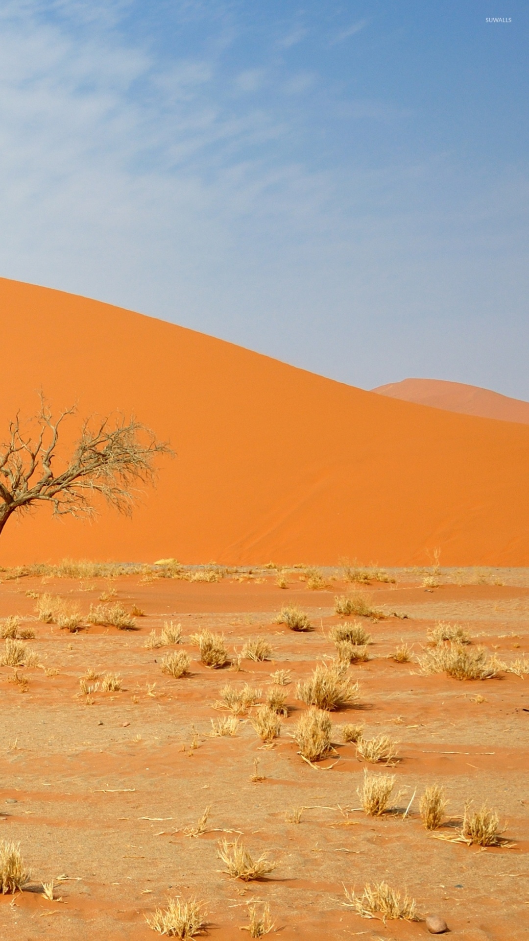 Brown Bare Tree on Brown Sand During Daytime. Wallpaper in 1080x1920 Resolution