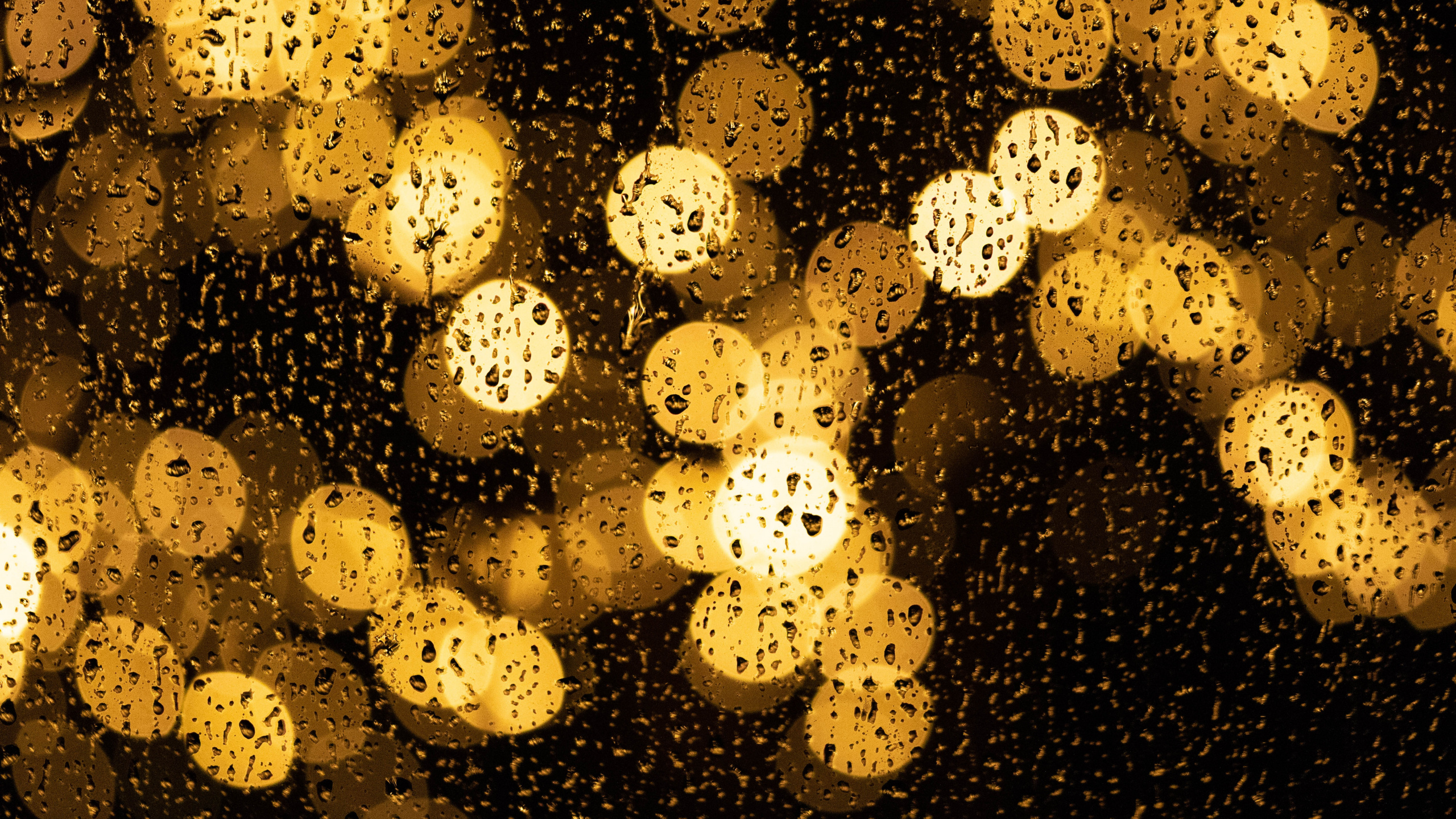 Gelbes Licht Auf Schwarzem Hintergrund. Wallpaper in 2560x1440 Resolution