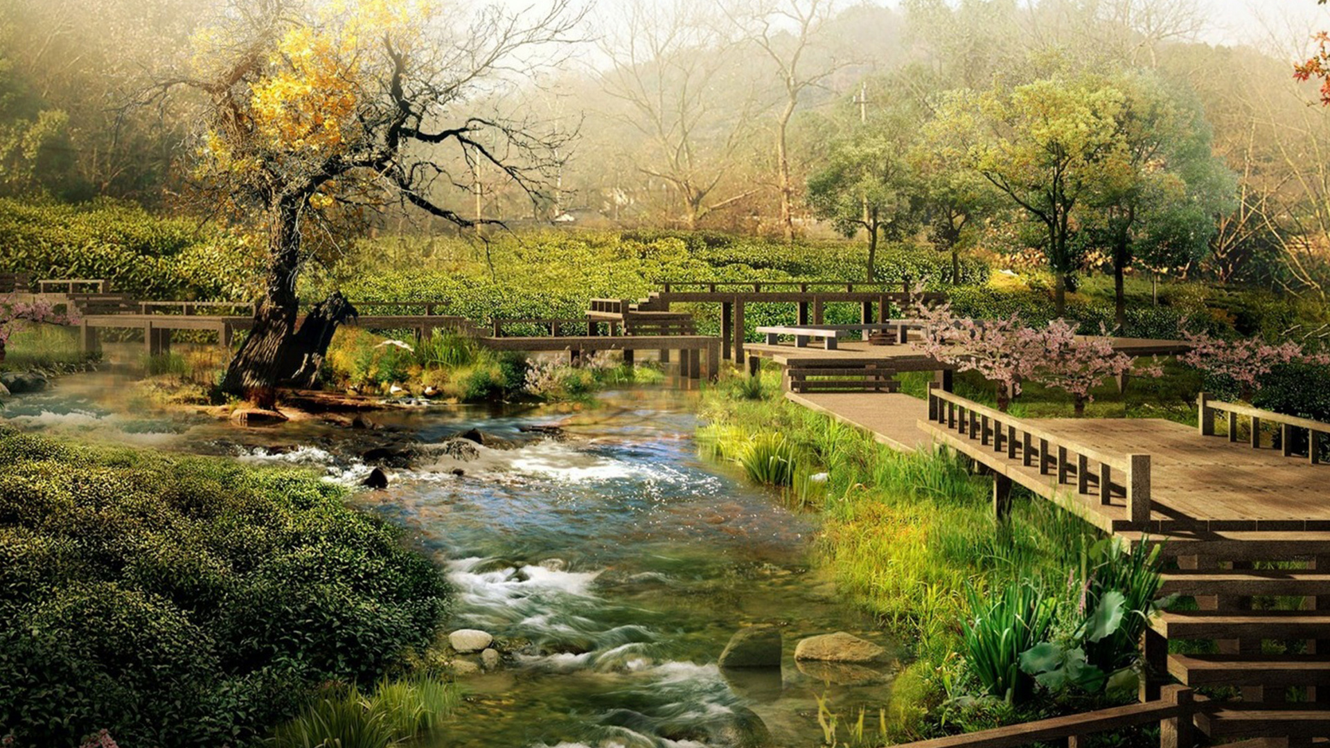 River Between Trees During Daytime. Wallpaper in 1920x1080 Resolution
